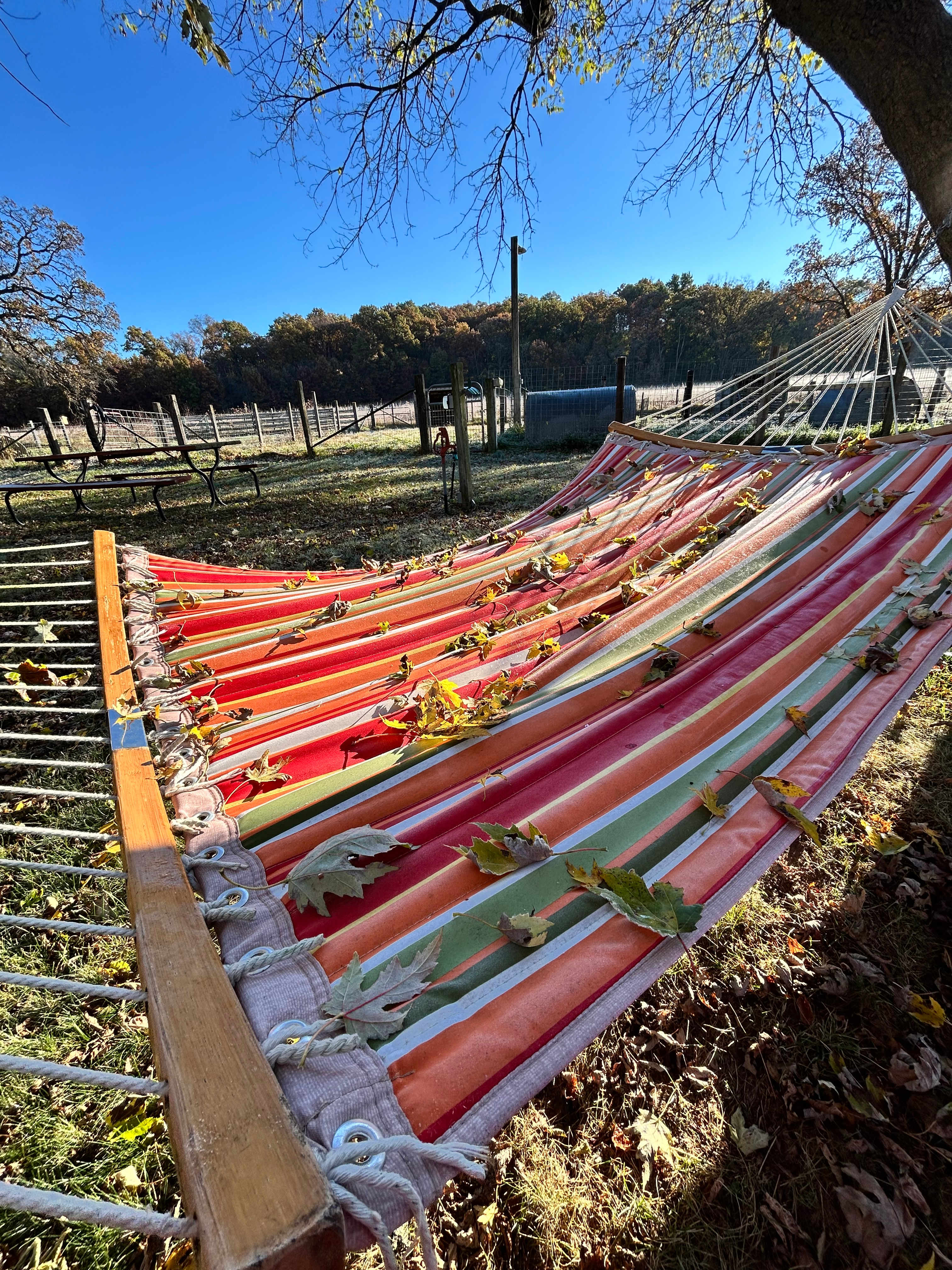 Circle M Farm Stay: Camp or Glamp