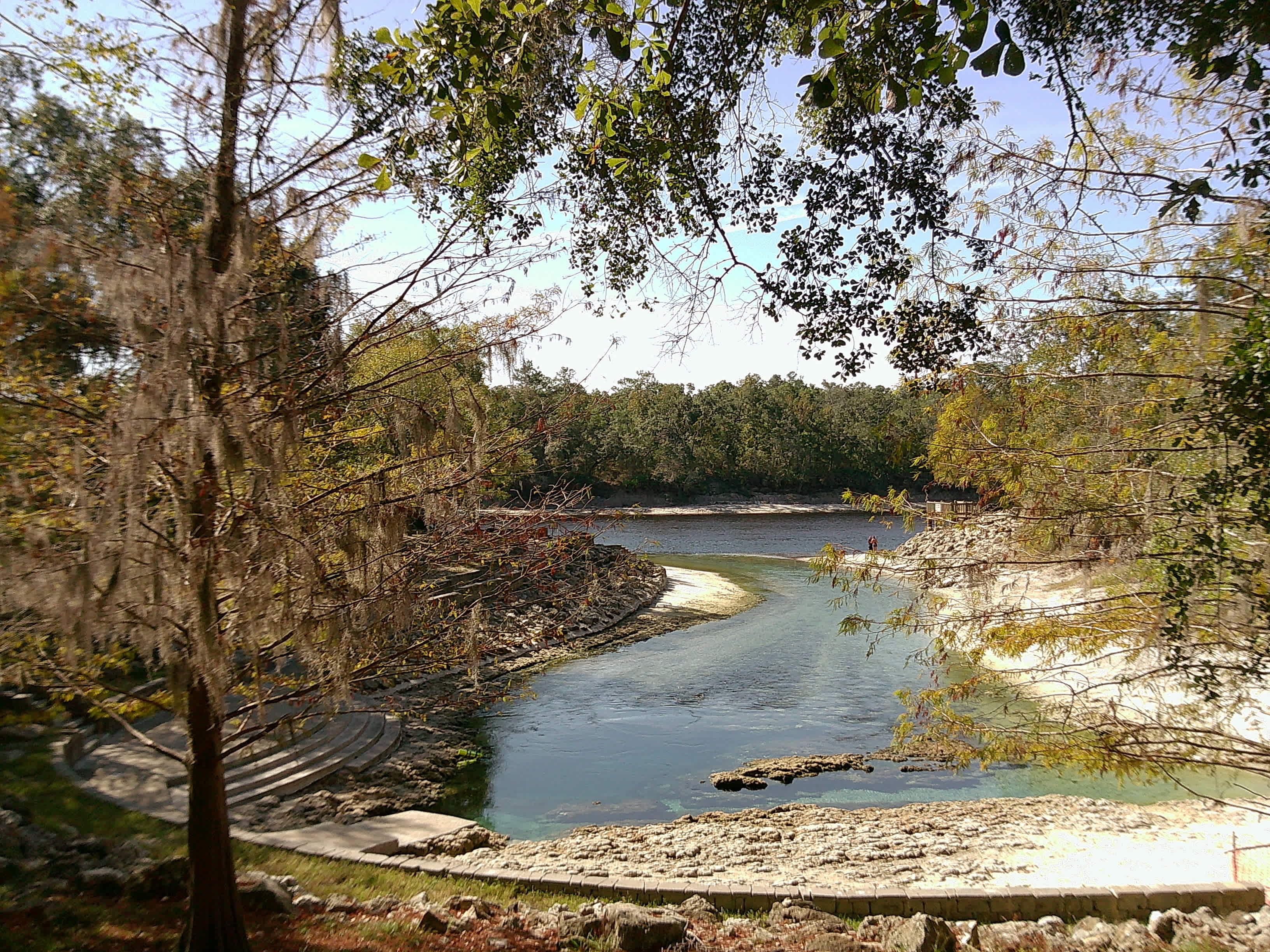 Cabin At Little River Springs