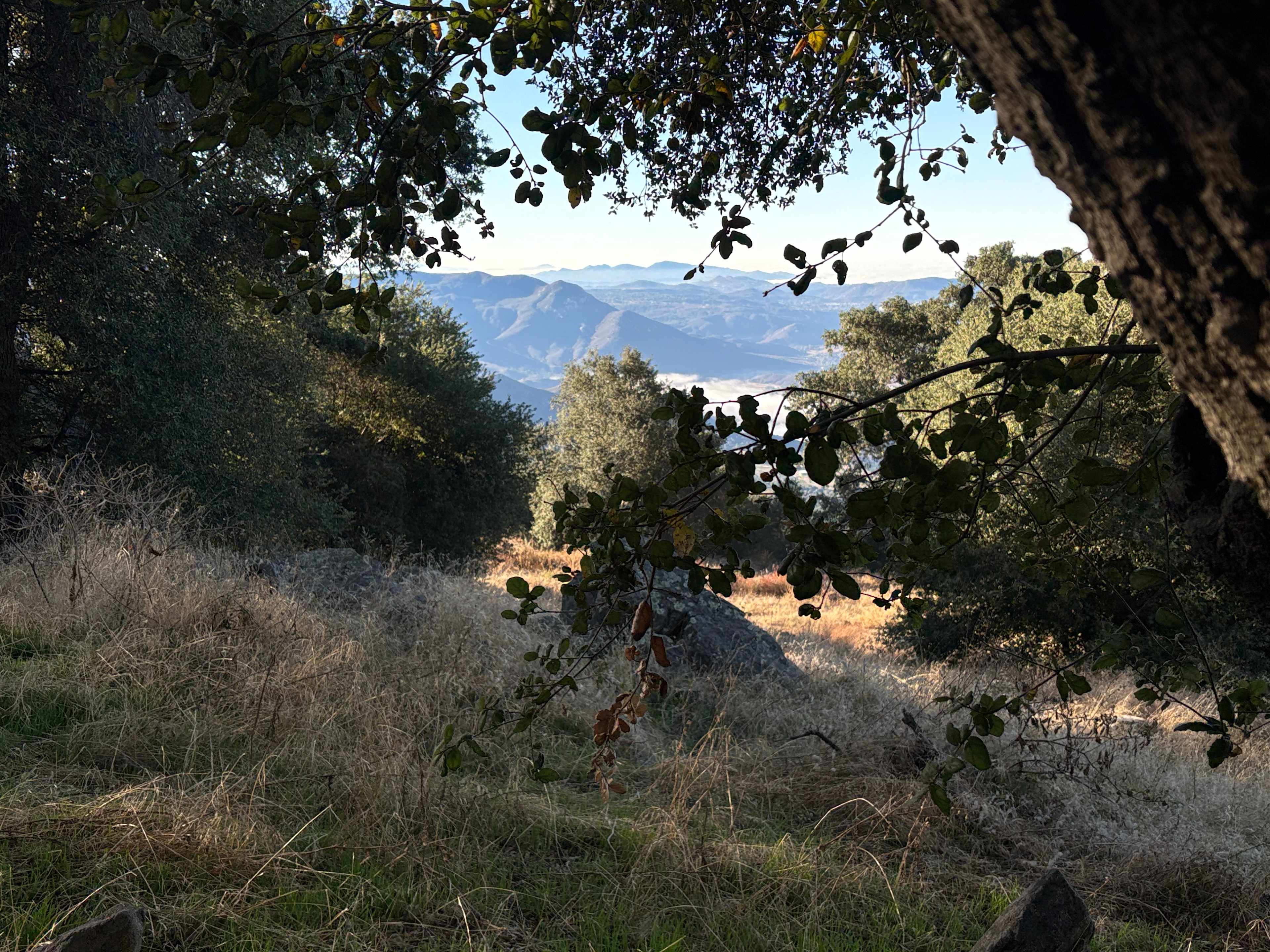 Magical Harrison Serenity Ranch