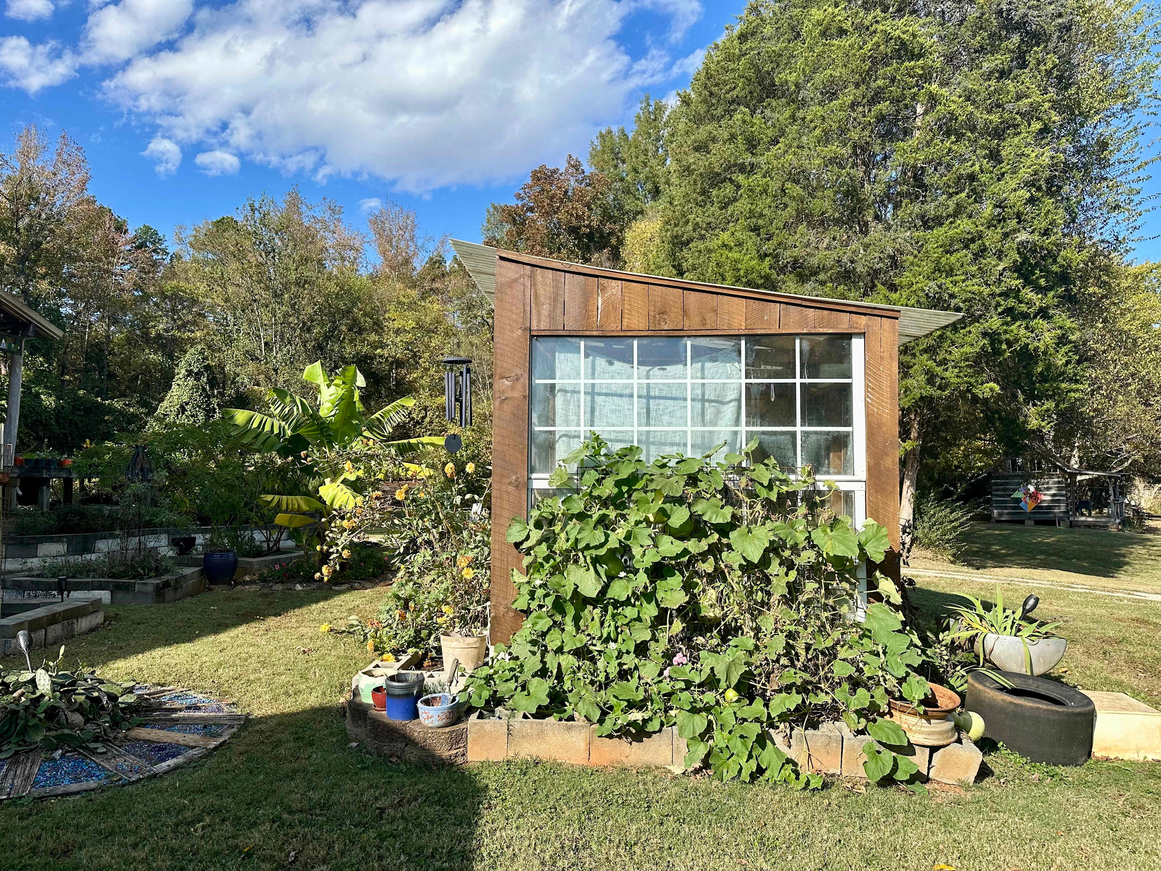 The Dancing Pig On Abbotts Creek