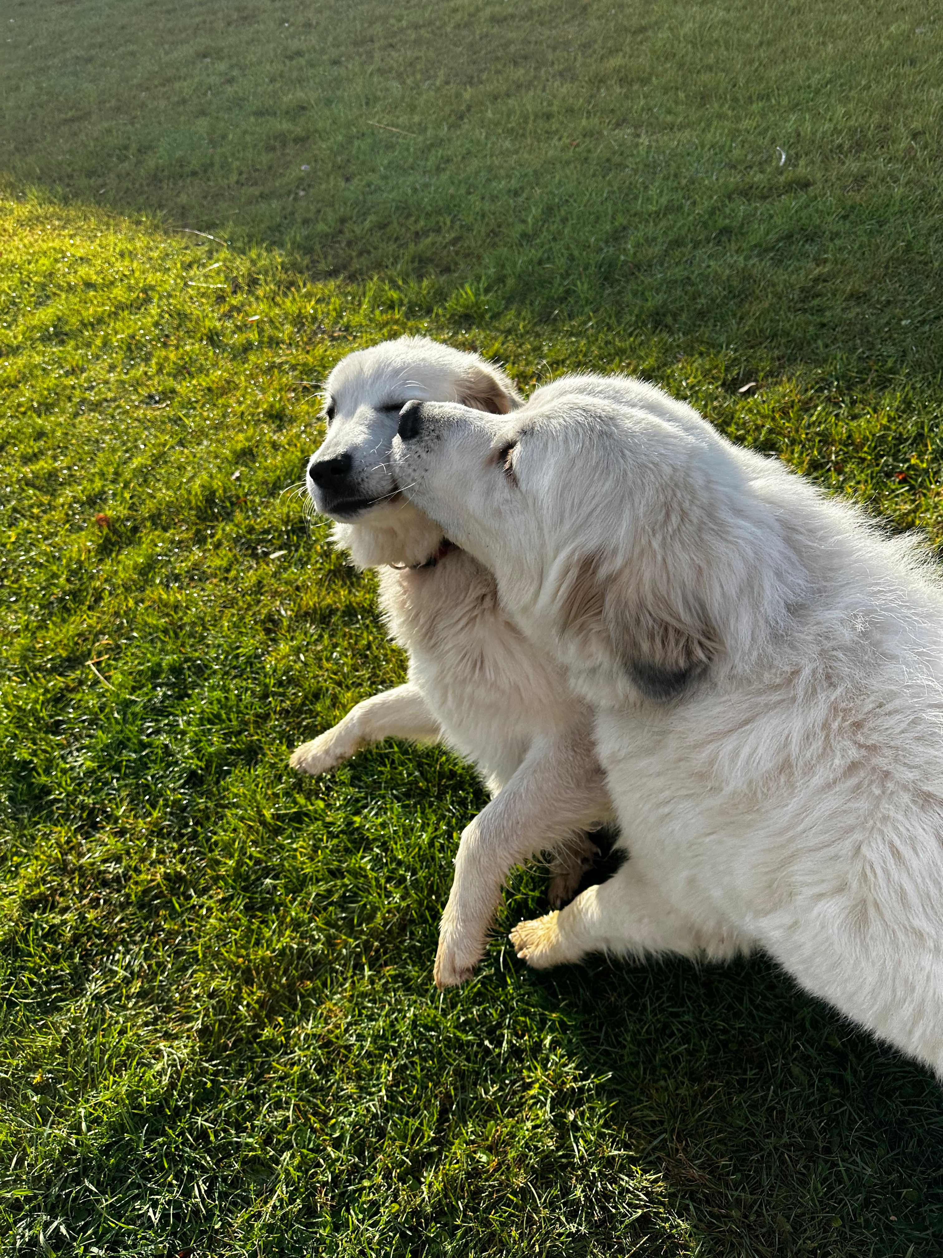 North Shore Hermitage