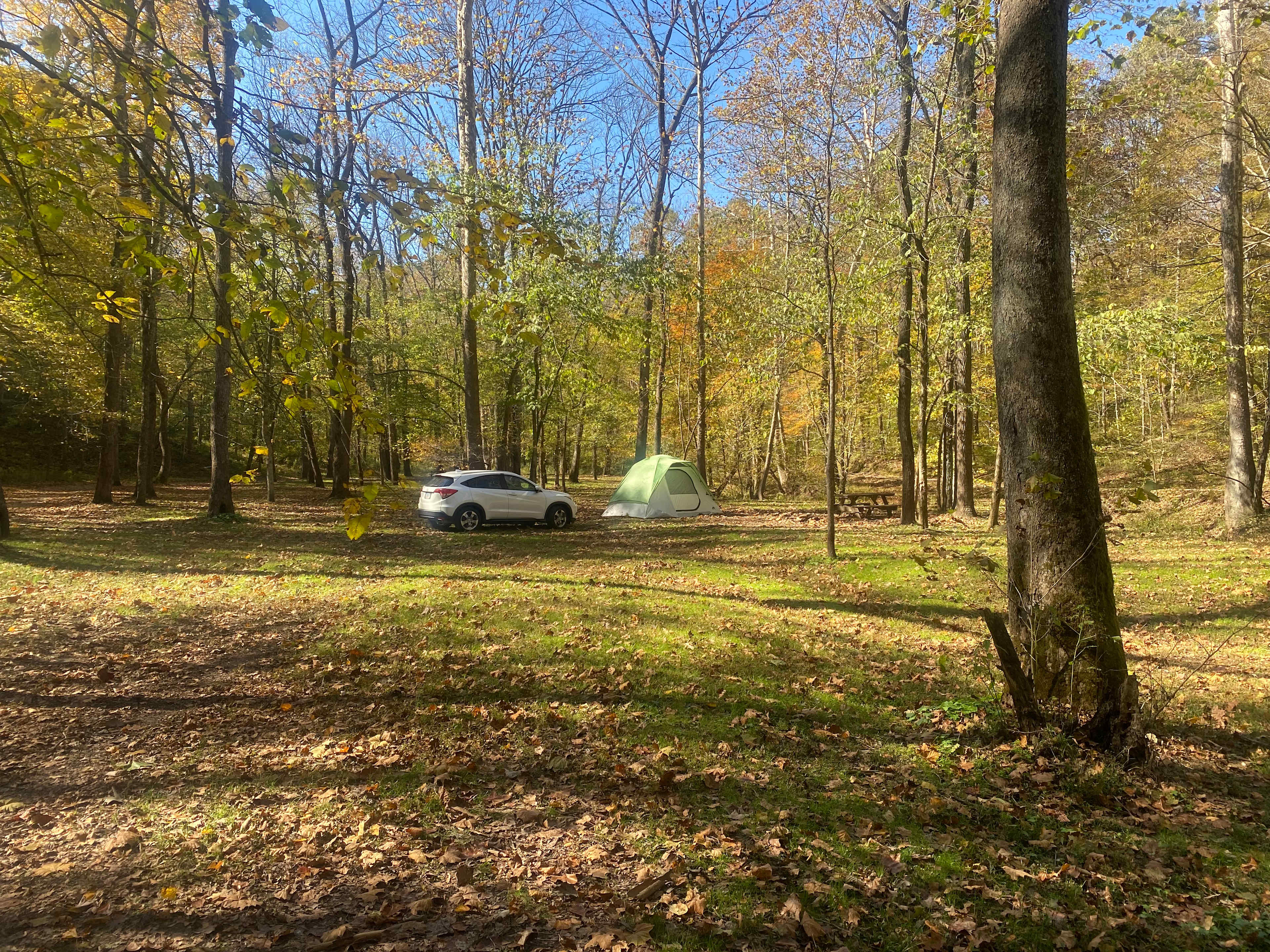 Happy Hollow Homestead