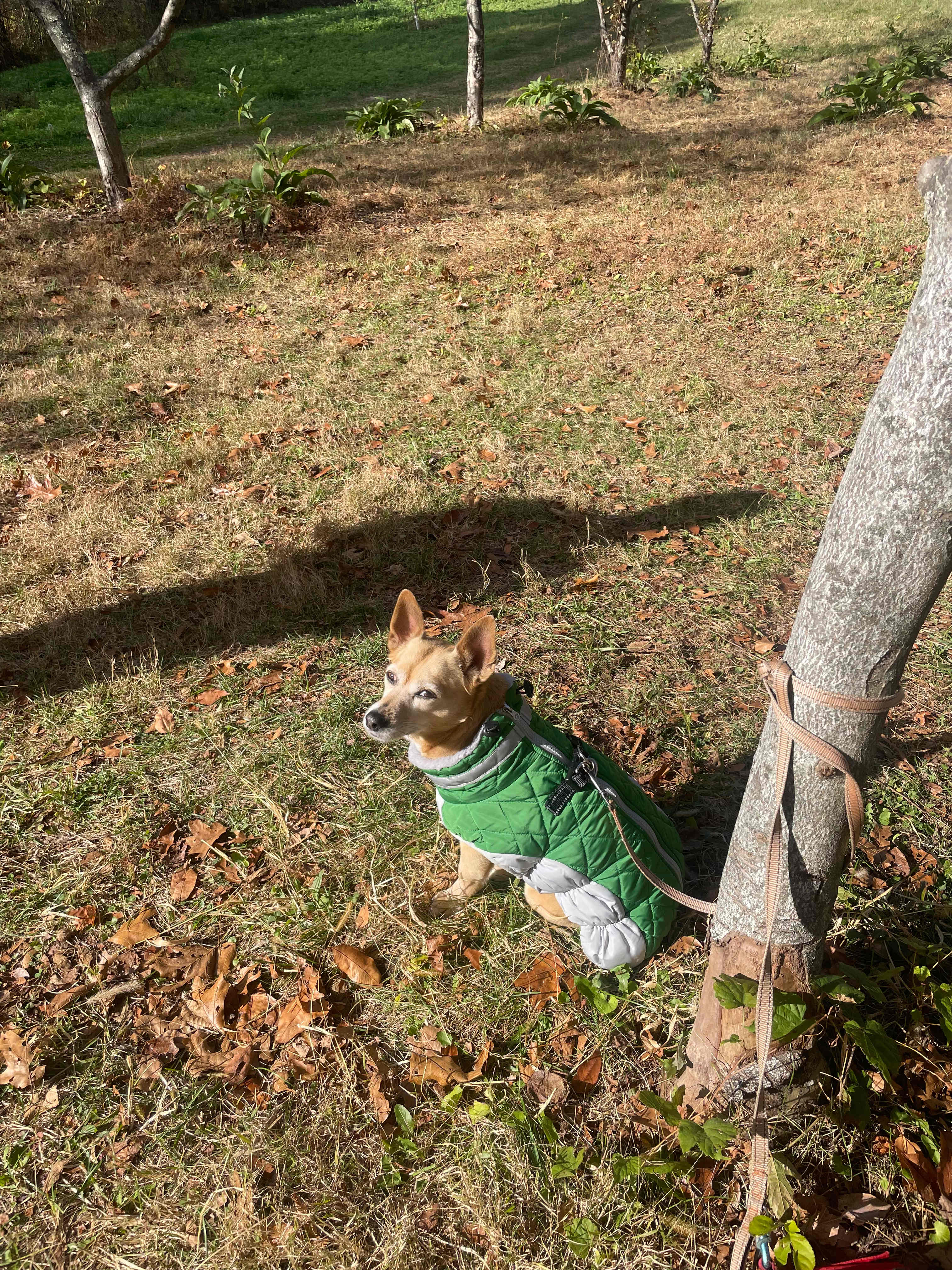 Historic Sundial Farm