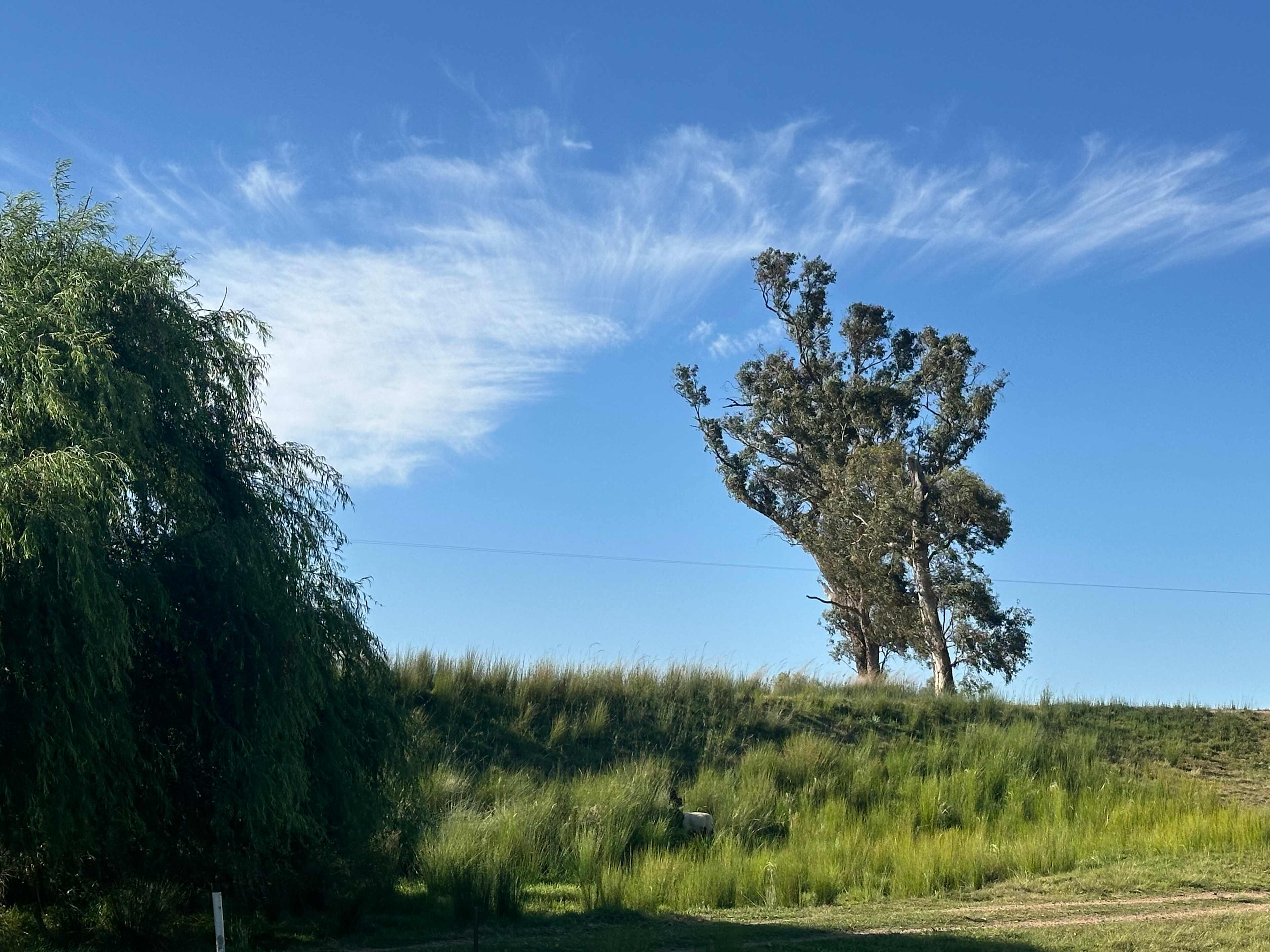 Berrima Camping & Farmstay