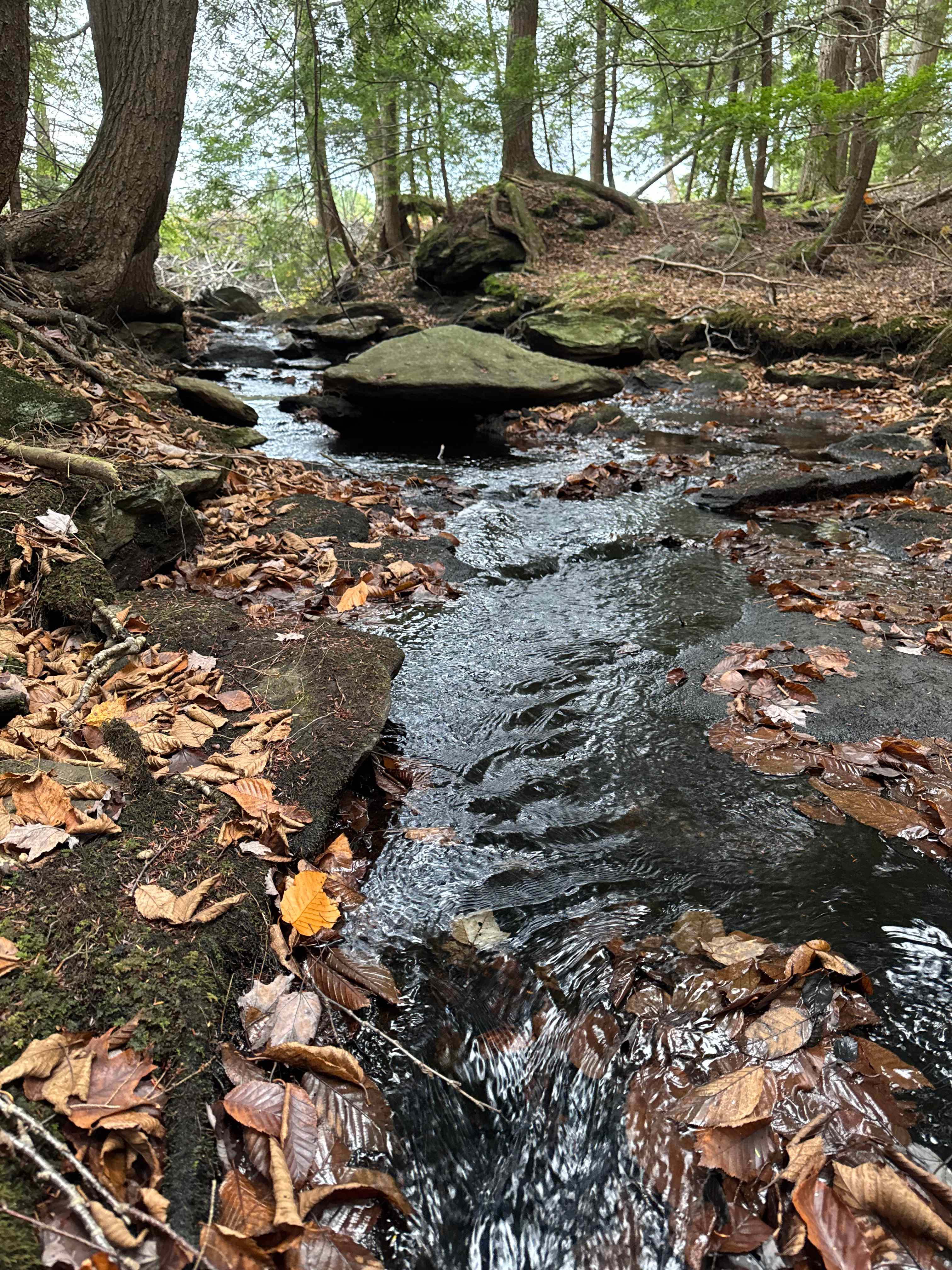 Tripp Mine Gemstones & Camping