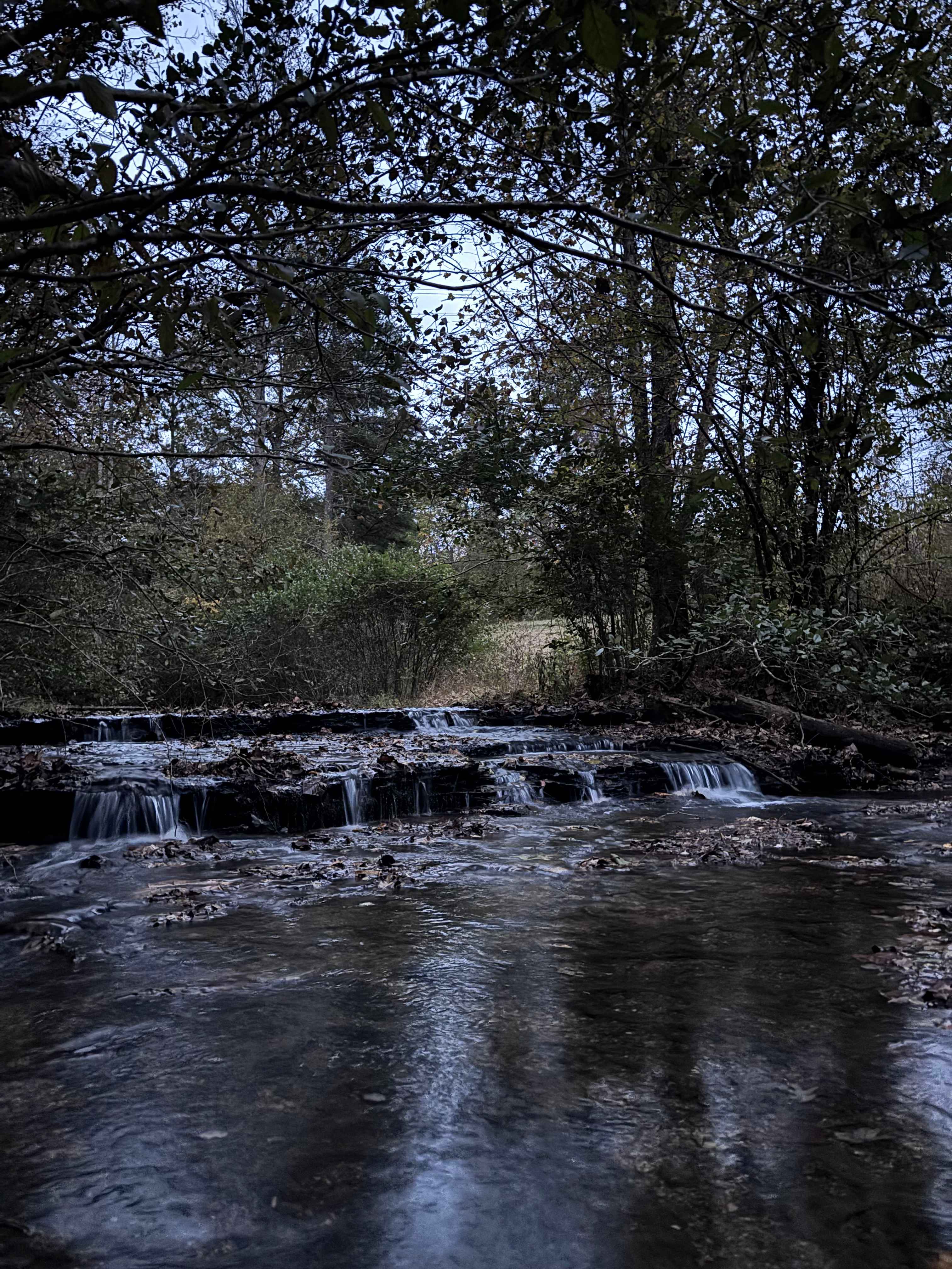 Reed Creek Campsites