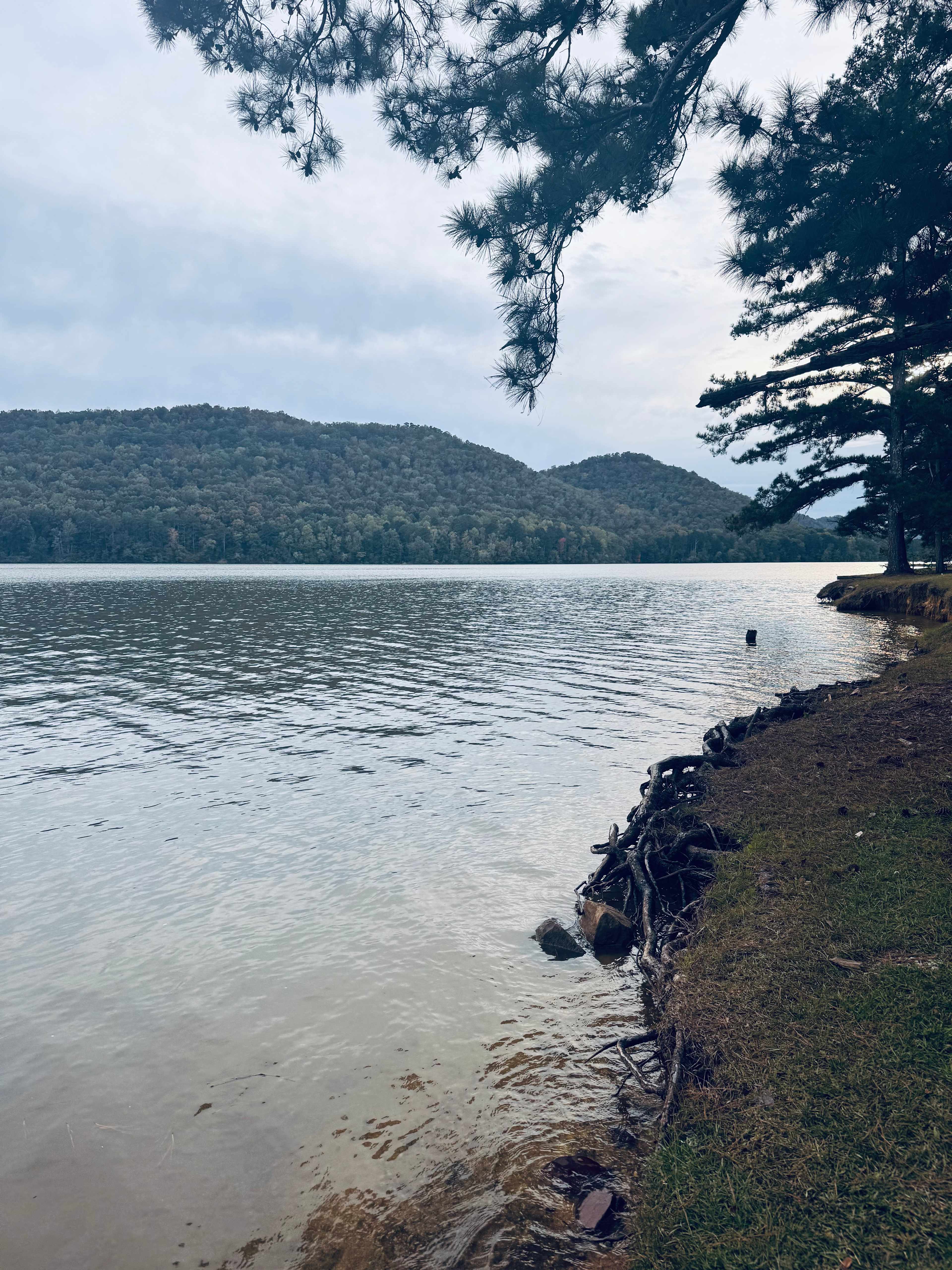 Serene Lakefront Retreat