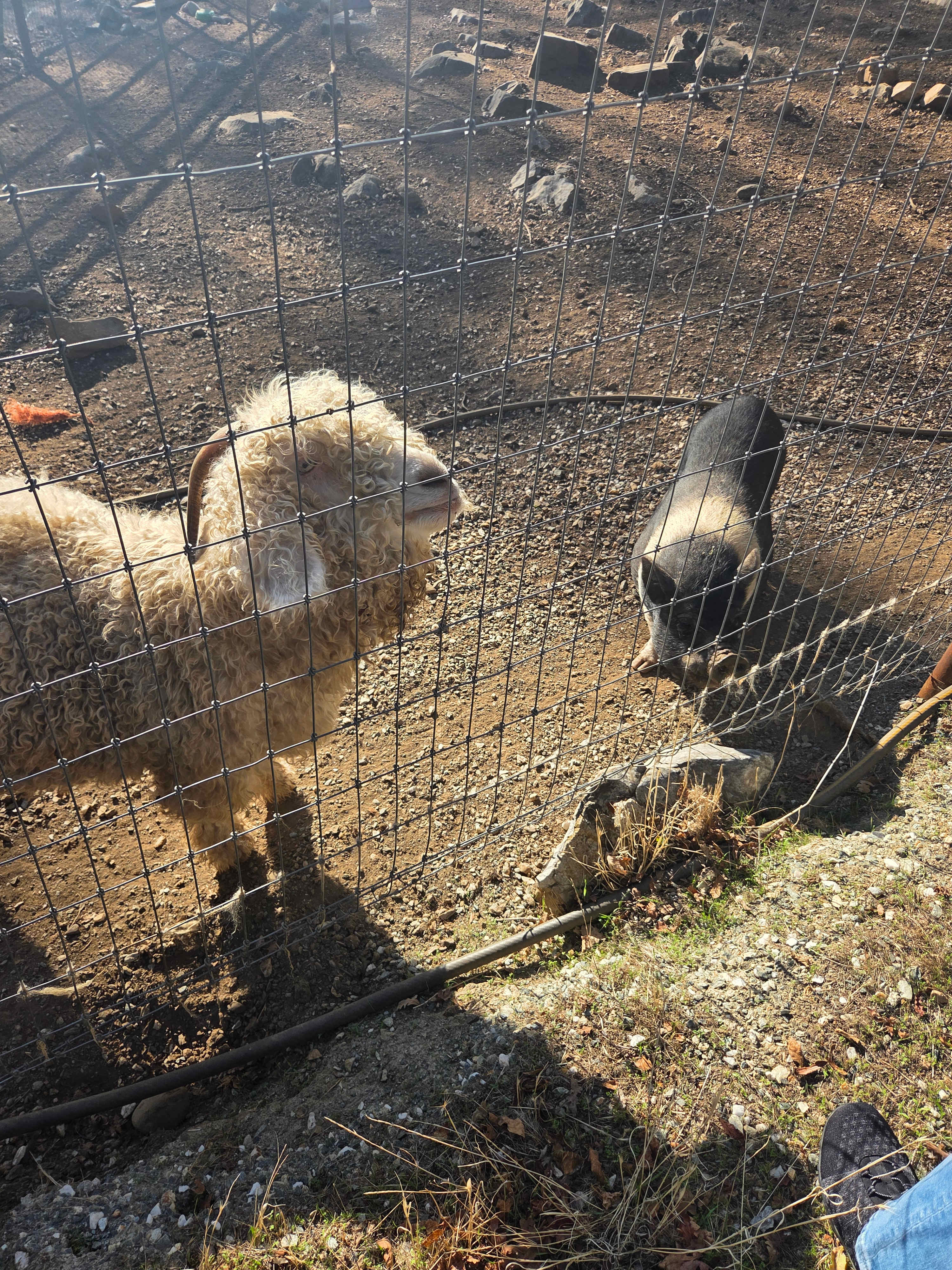 The Land Of Make+Believe