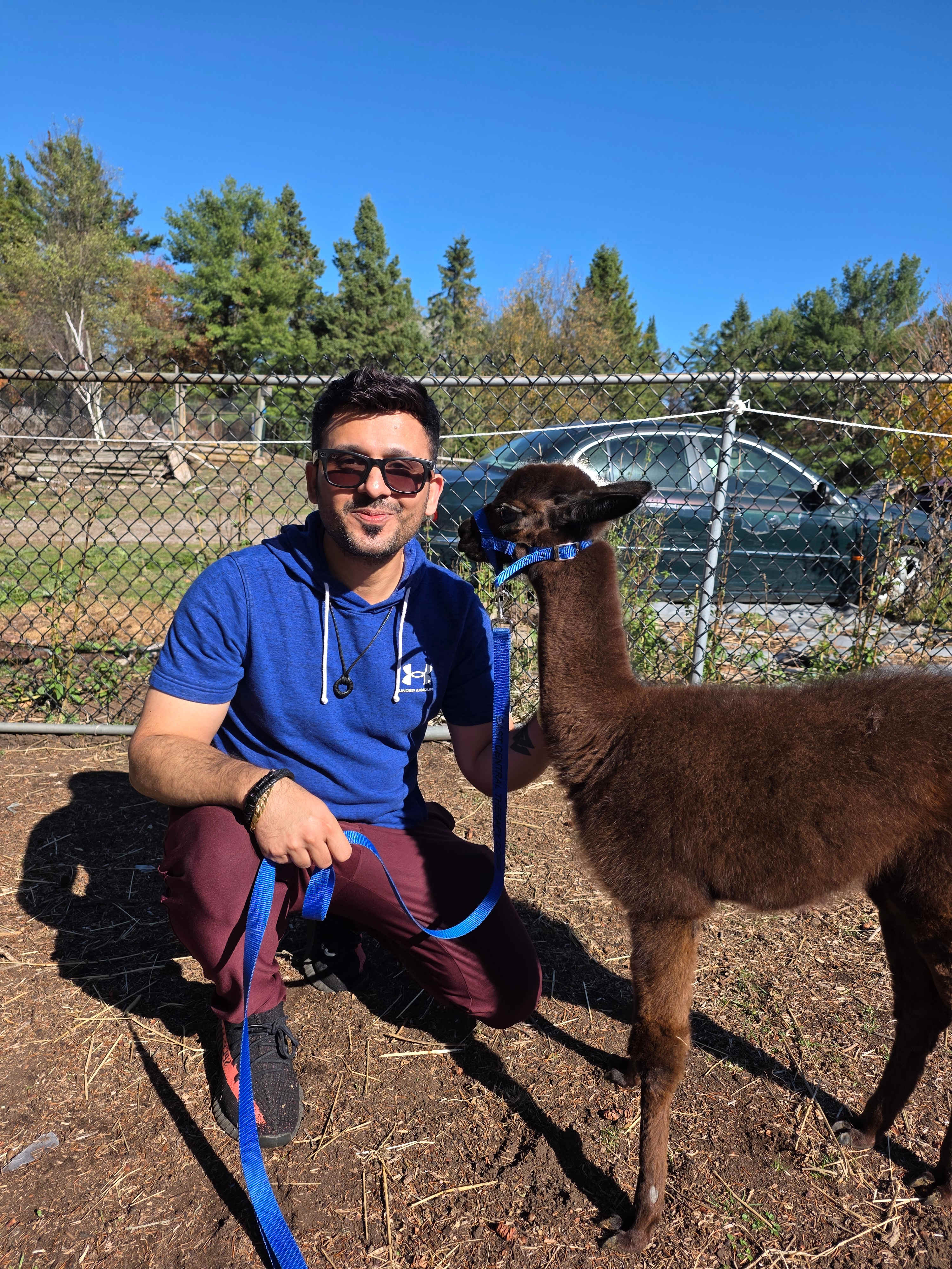 Dragonfly Ridge Rescue Farm