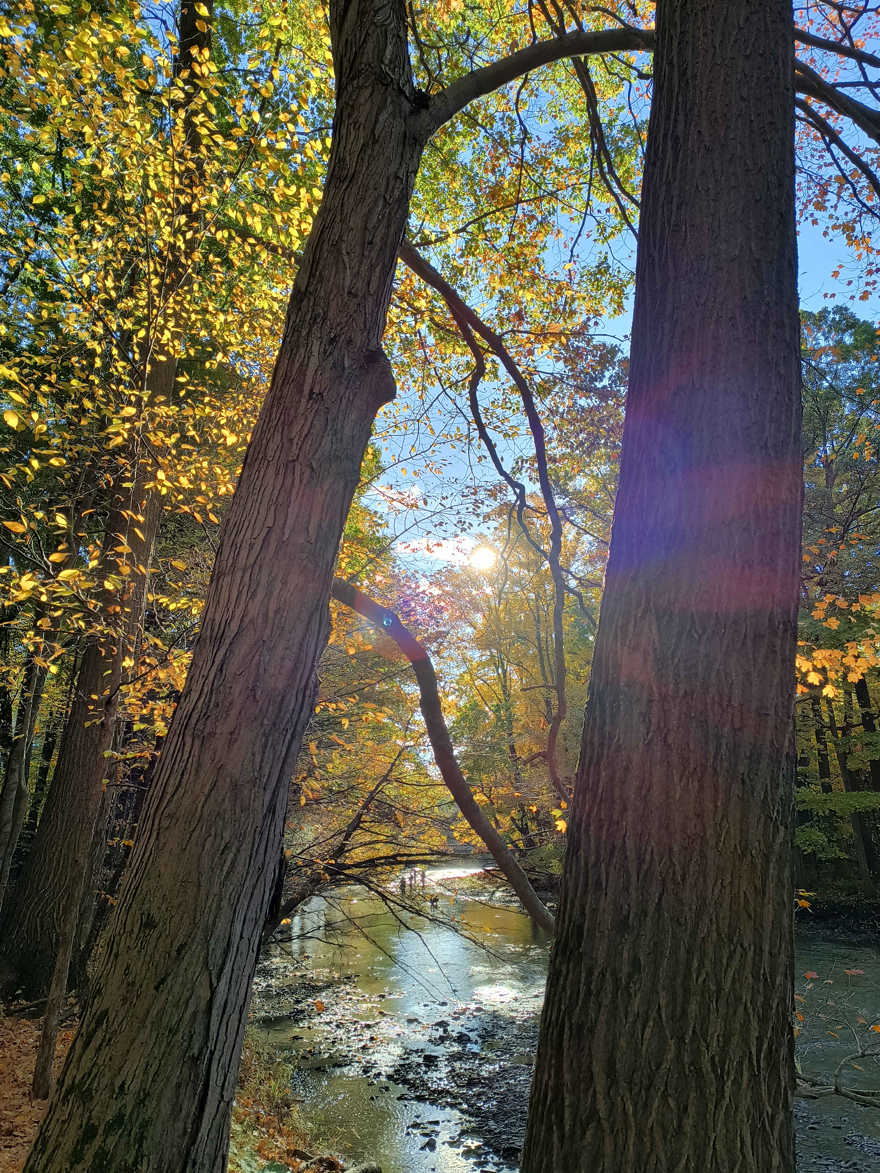 Steelhead Run Recreation Area