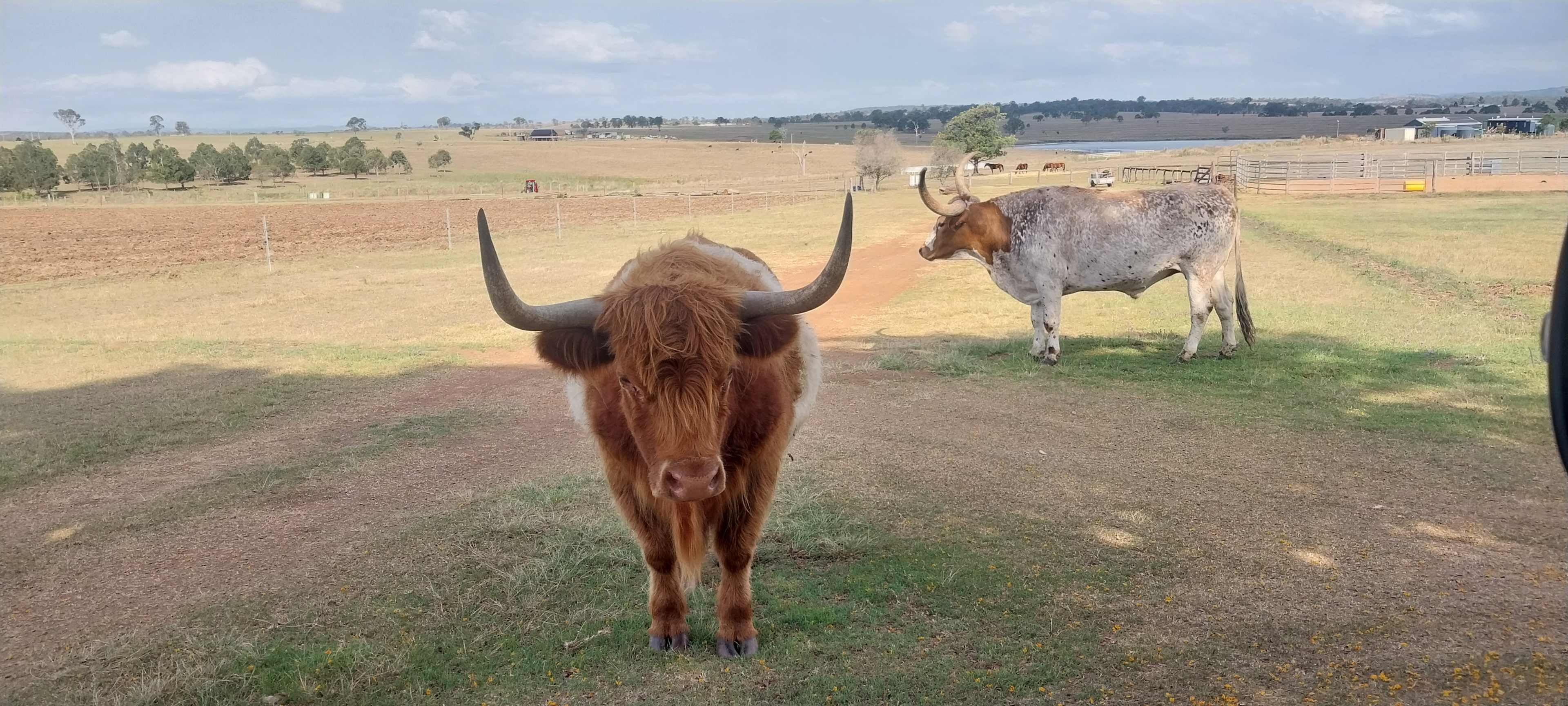 Hidden Gold Homestead