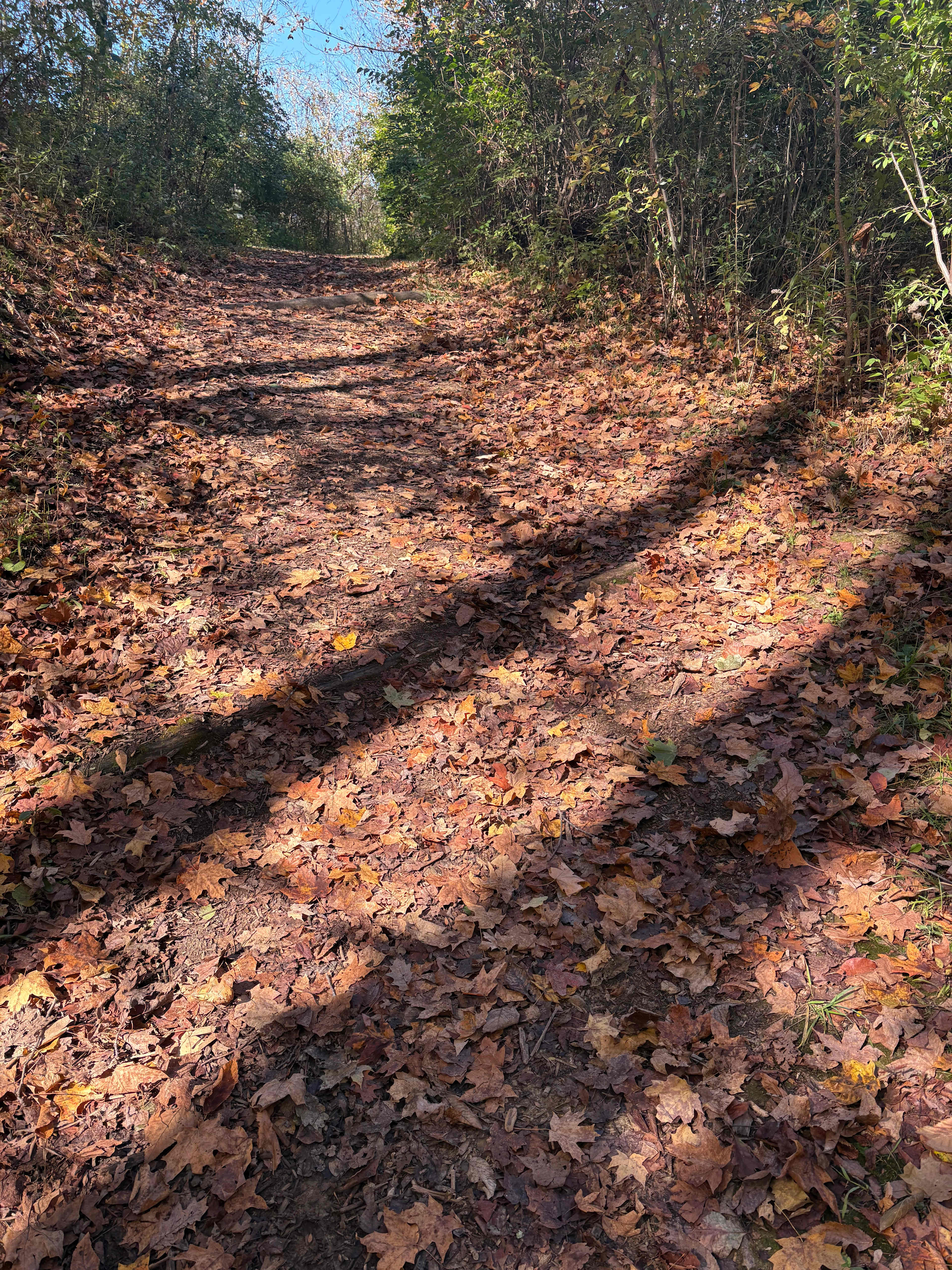 The hill leading to site 5