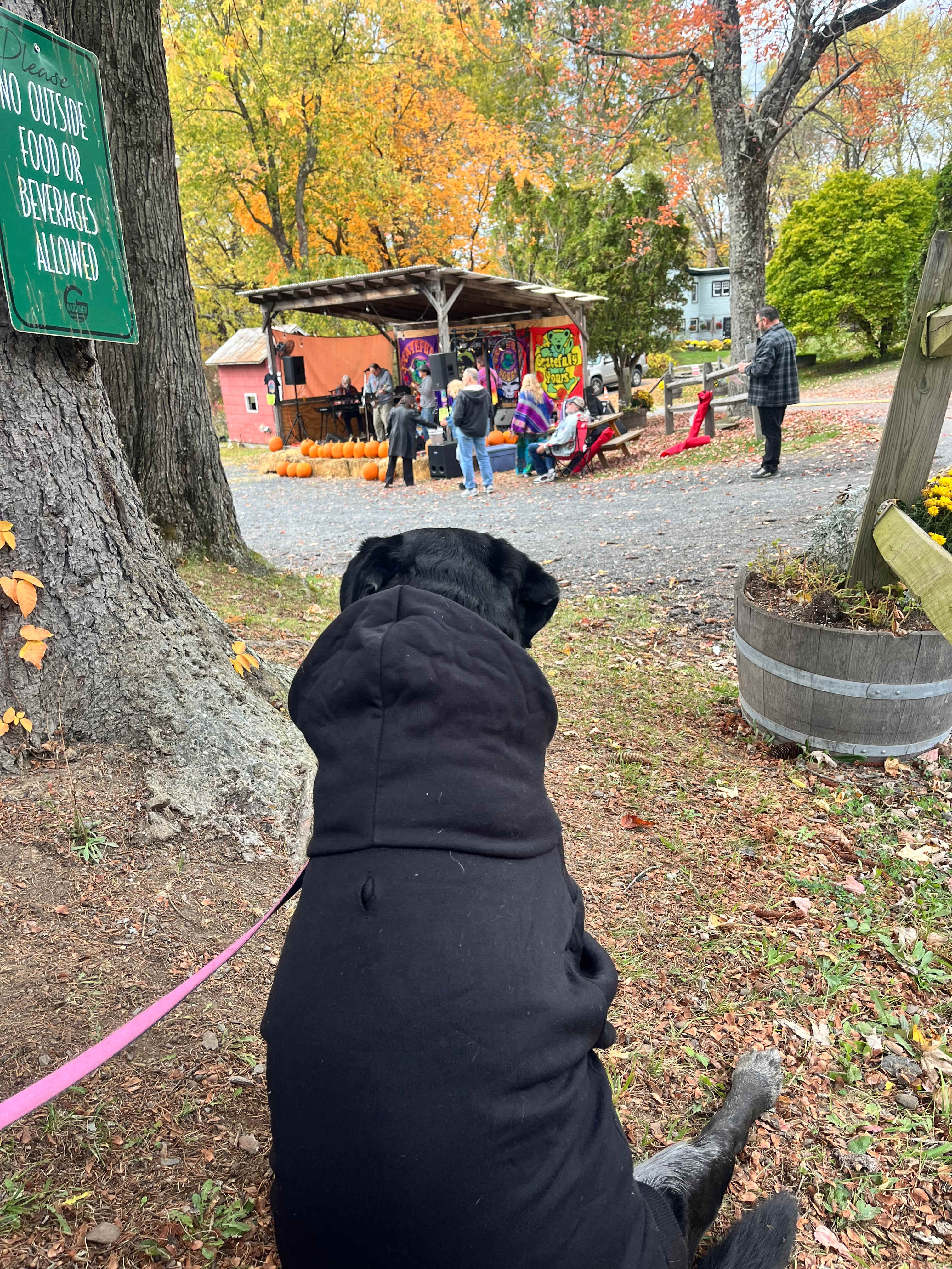 The Mountain Top @Wright's Farm