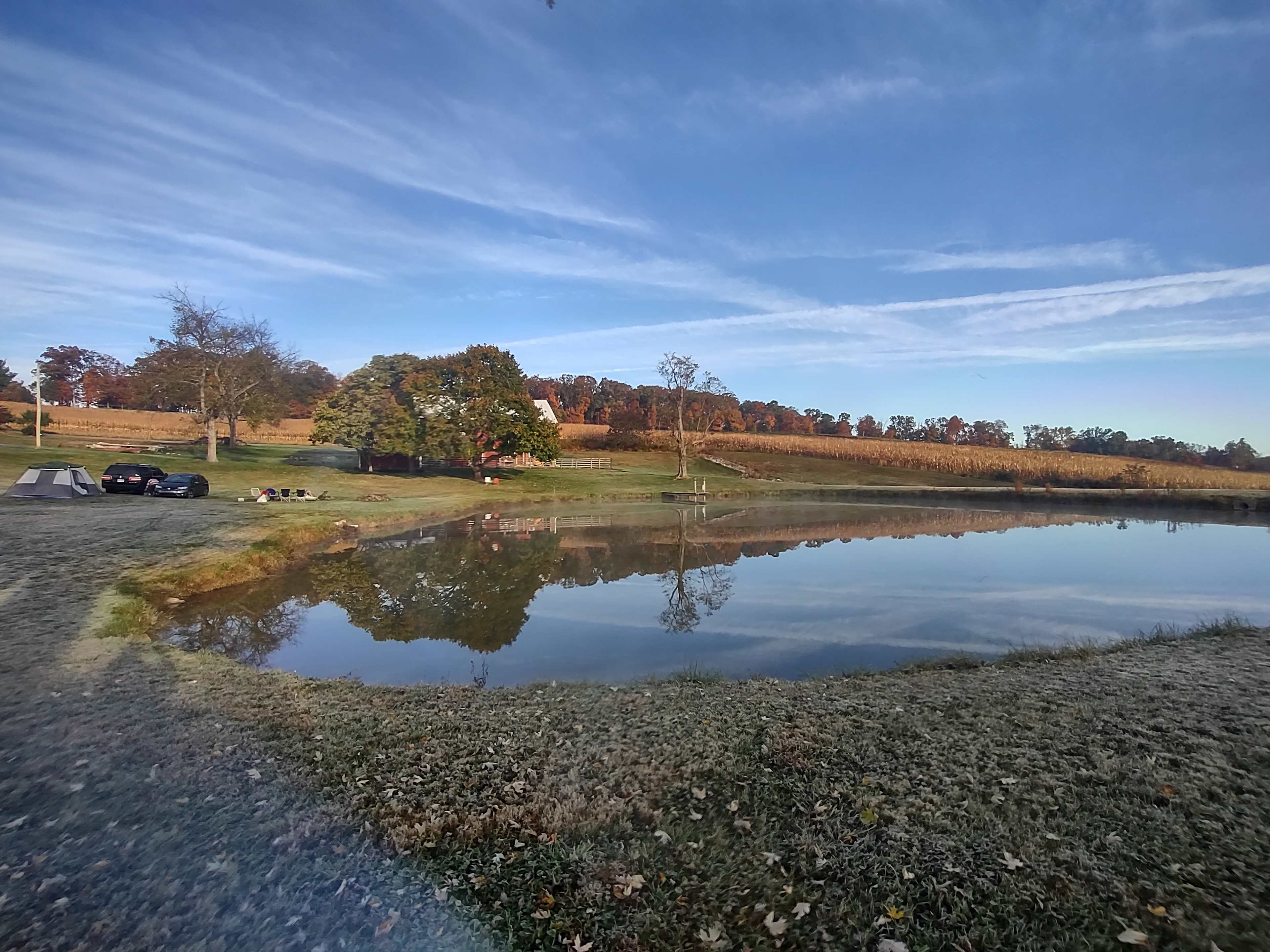 Views of woods, pond, and sunrise