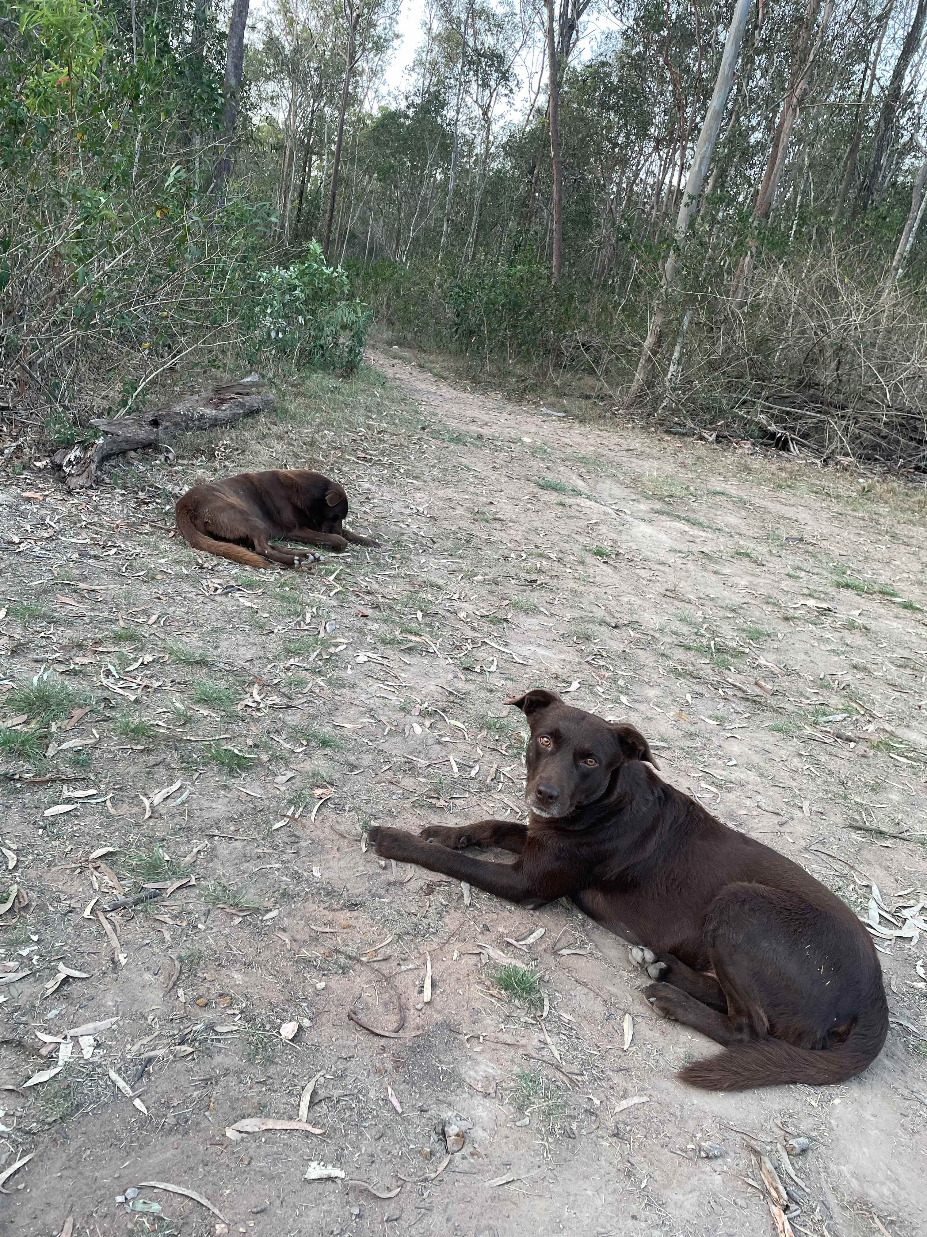 Somerset Valley Farm