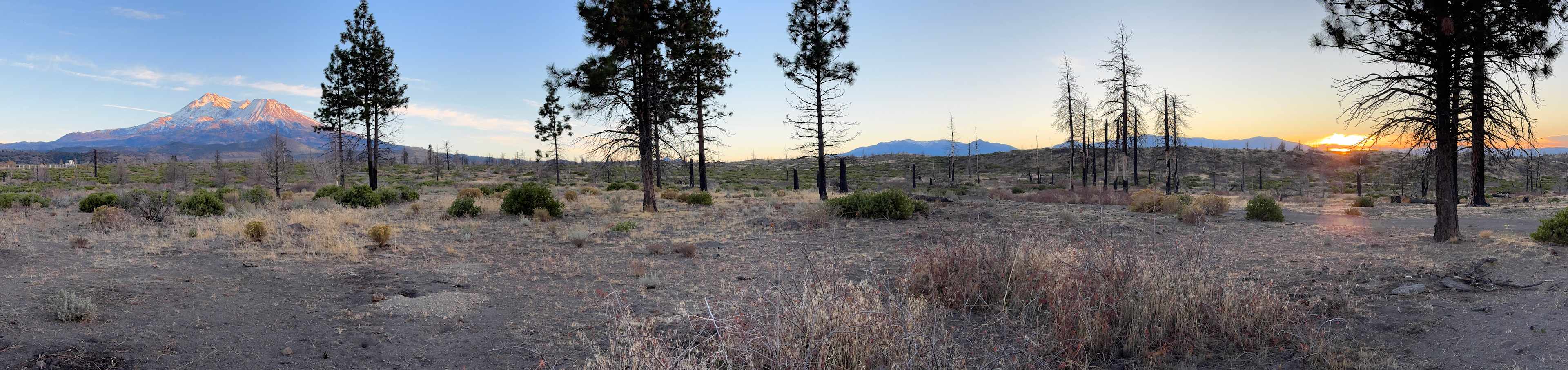 Juniper Valley Campsites