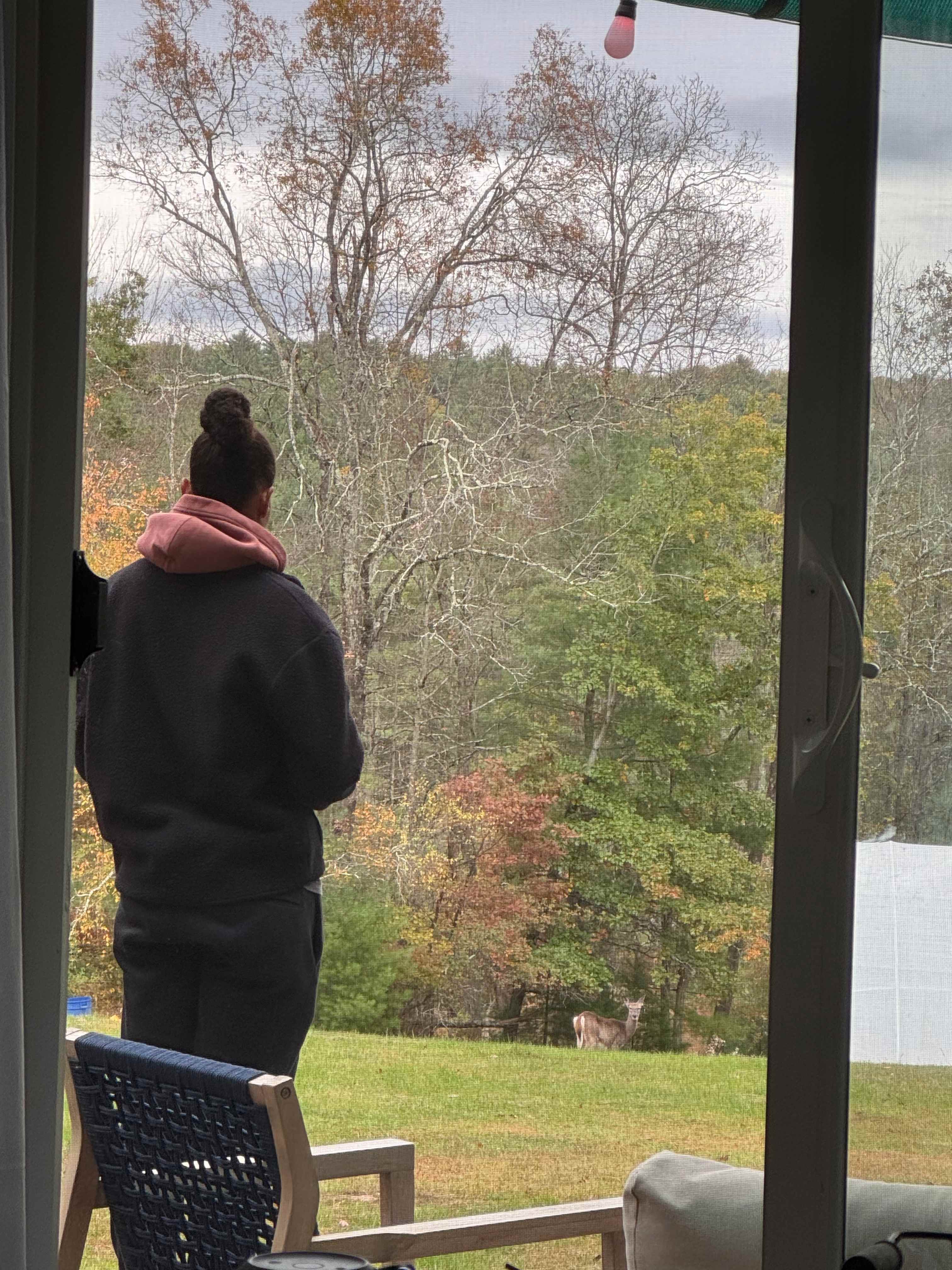 Forreal, all the wild life 