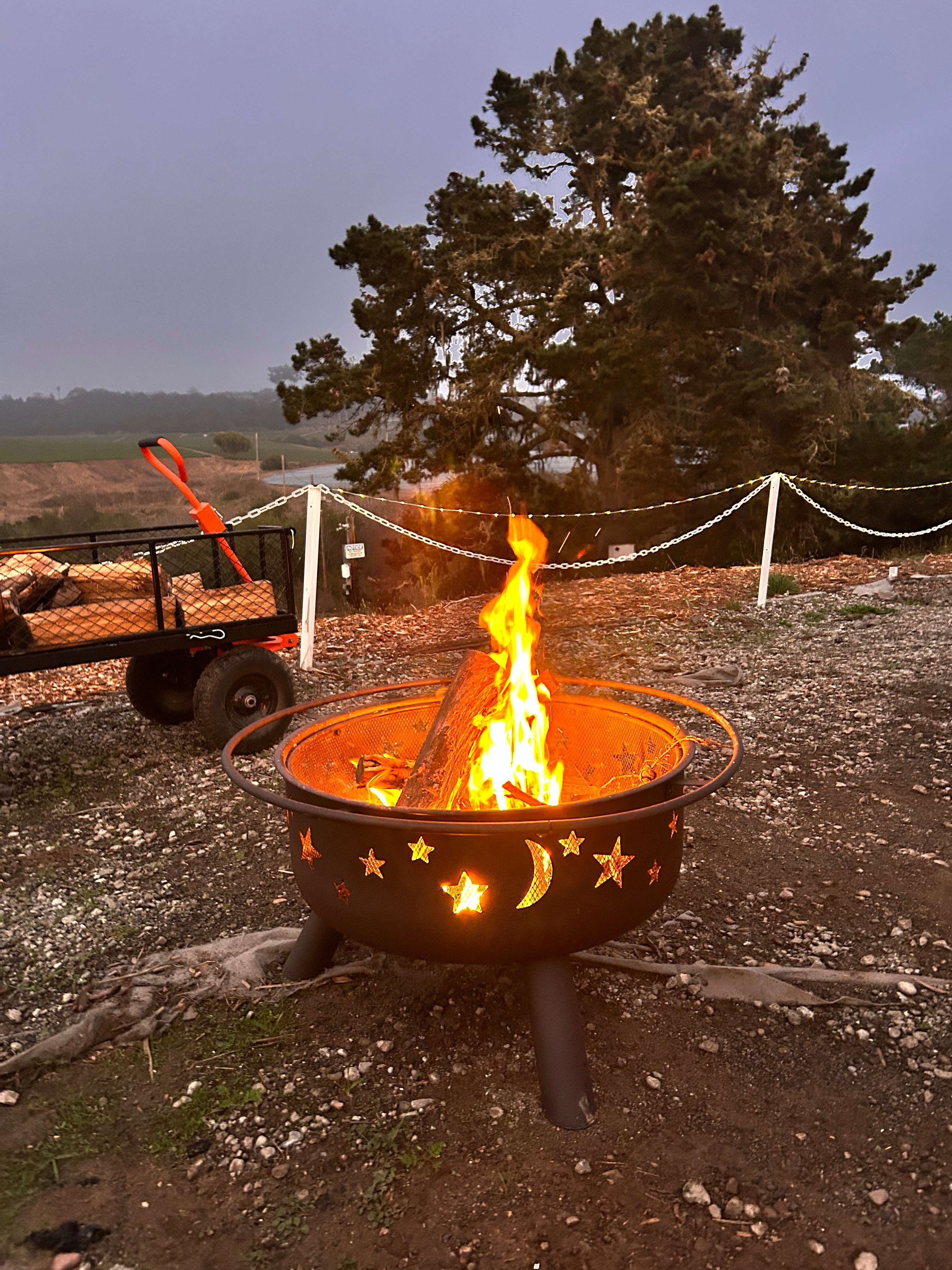 Strawberry Fields+Walk to the Beach
