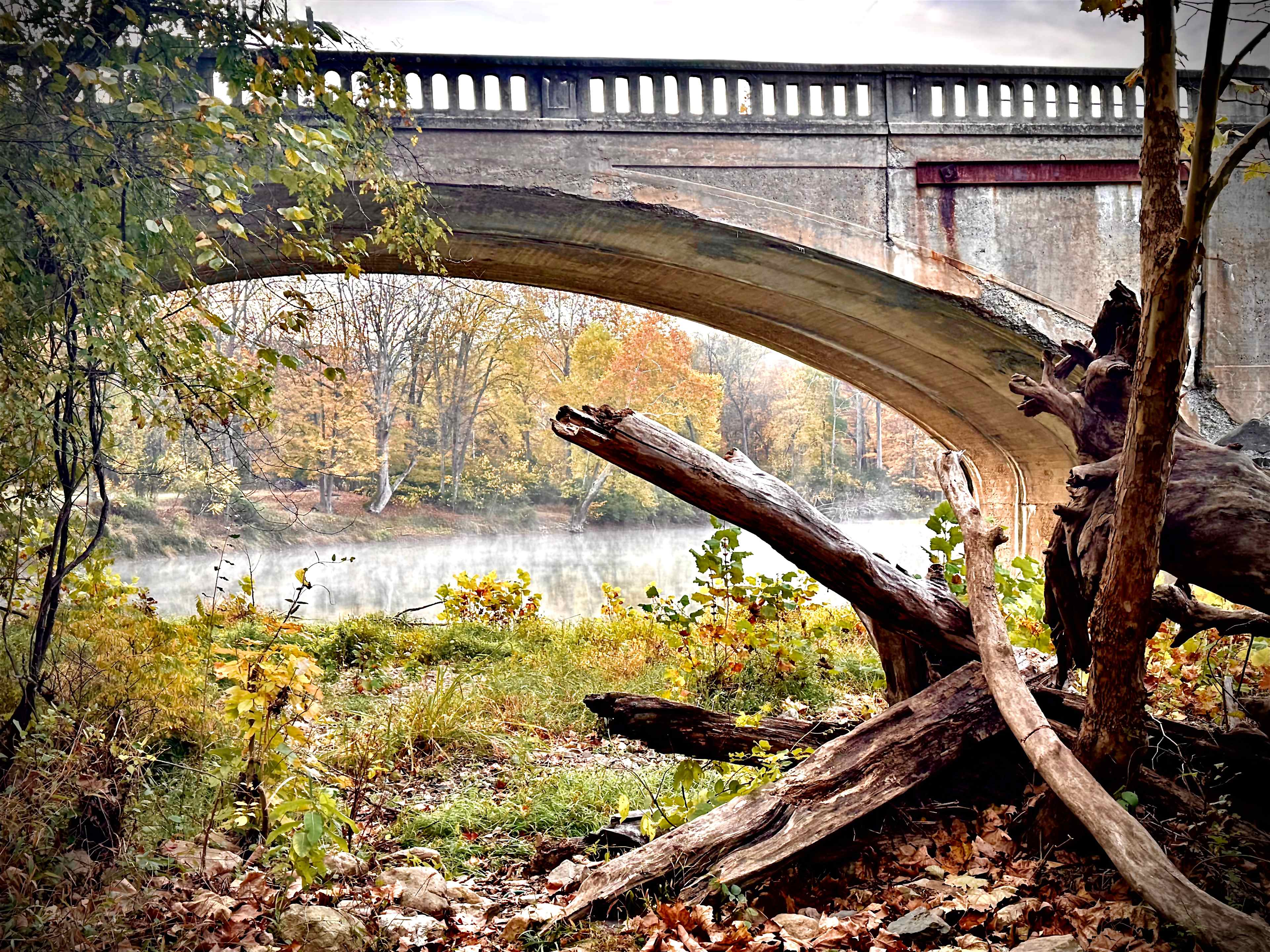 Early morning misty river