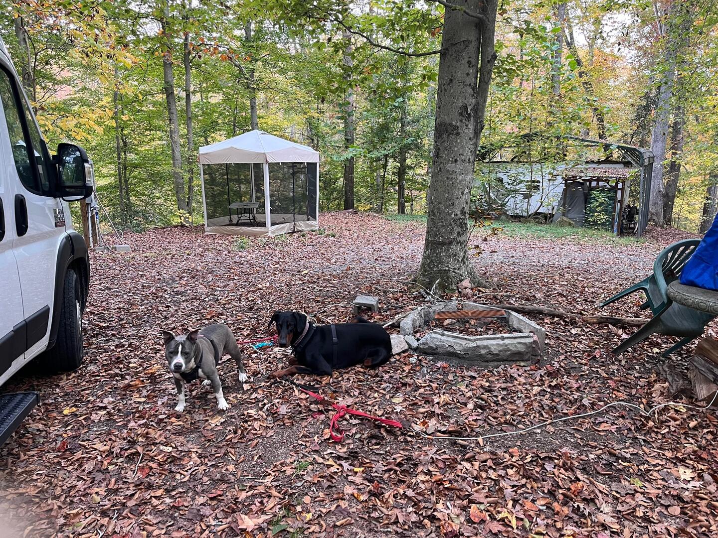 Earthwalk Ways Retreat