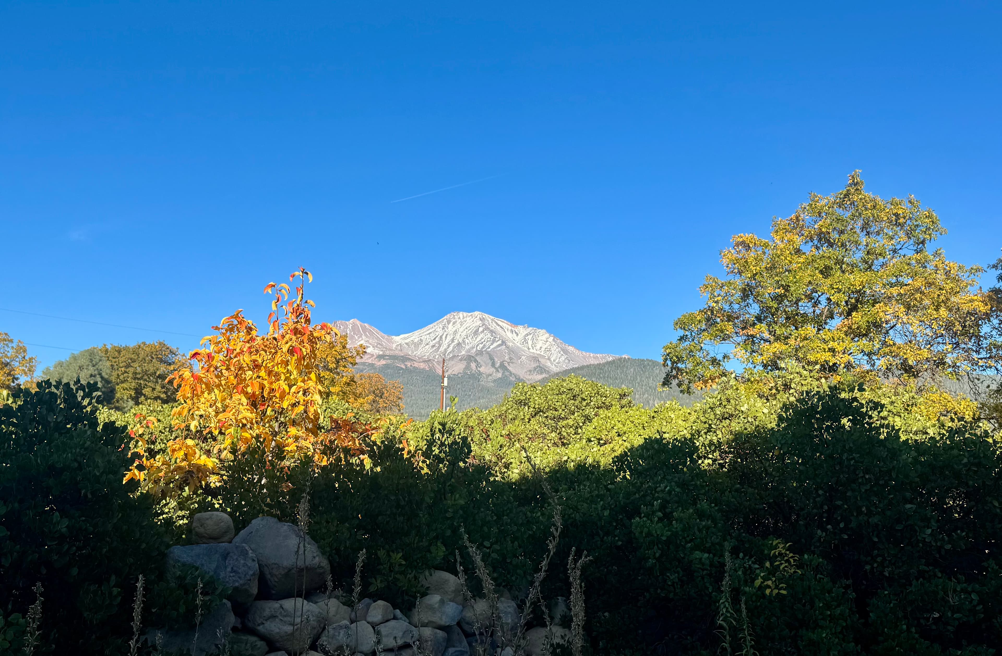 The view from the patio.