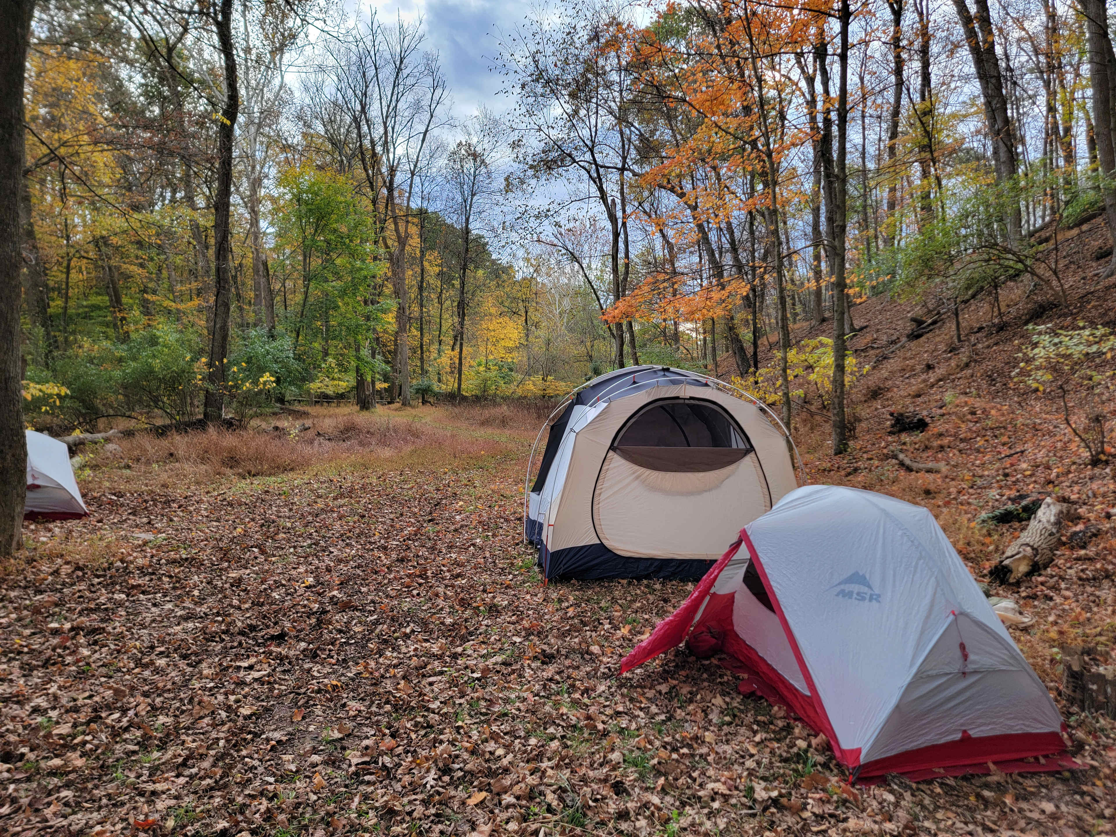 Secluded Creek Side Camping