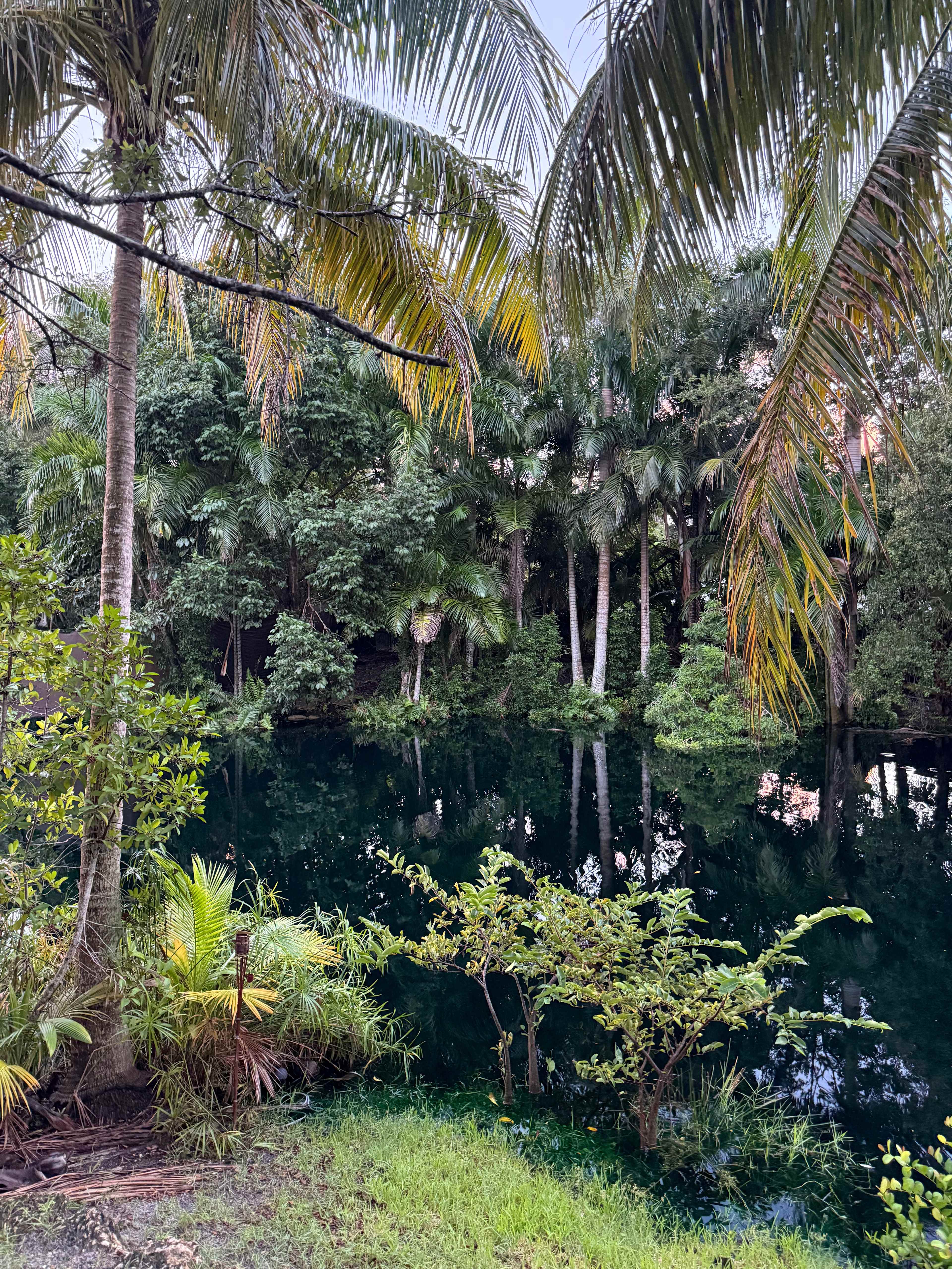 Honeys Place: Urban Camping Oasis