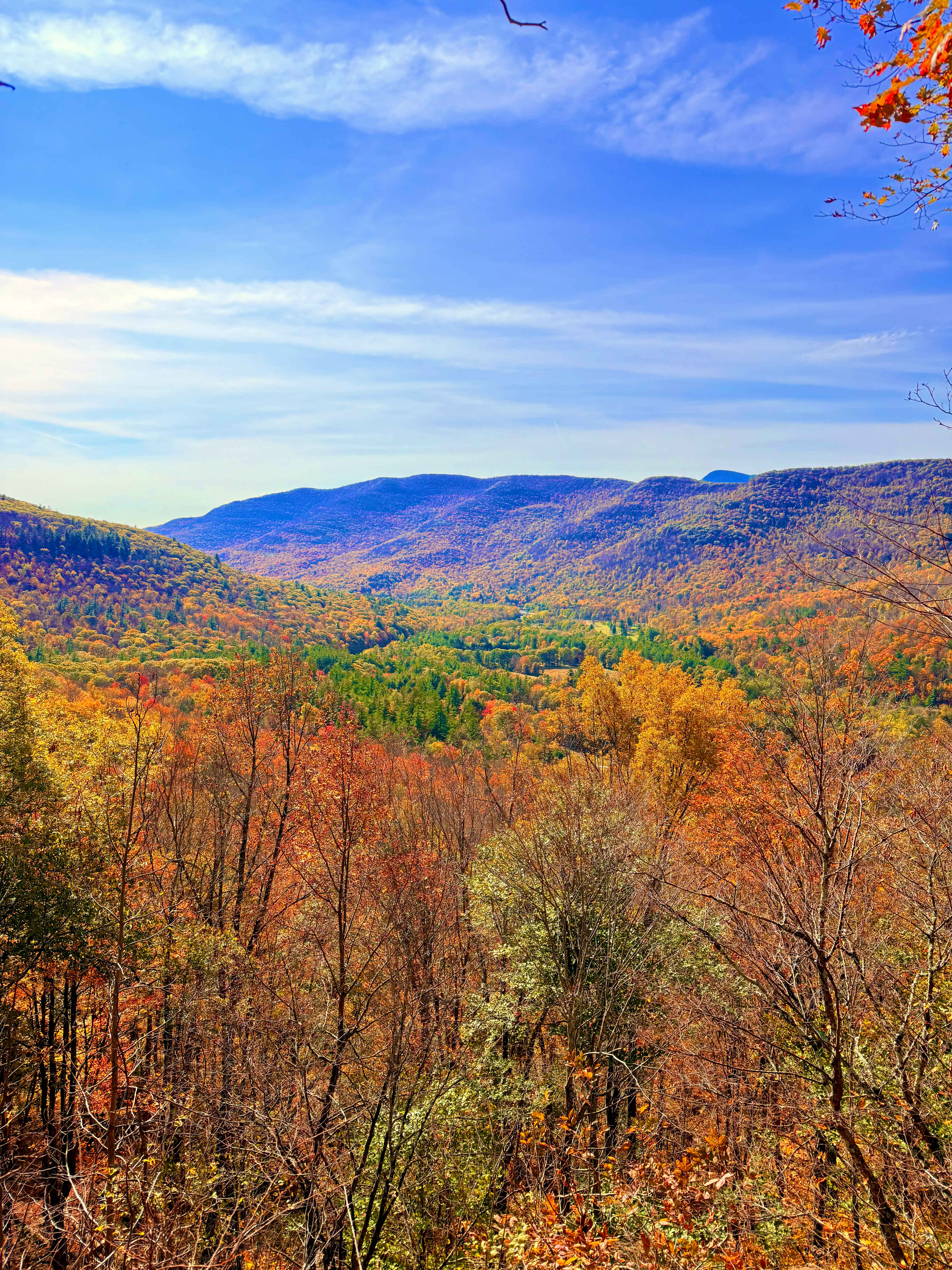 Terrace Farm Phoenicia