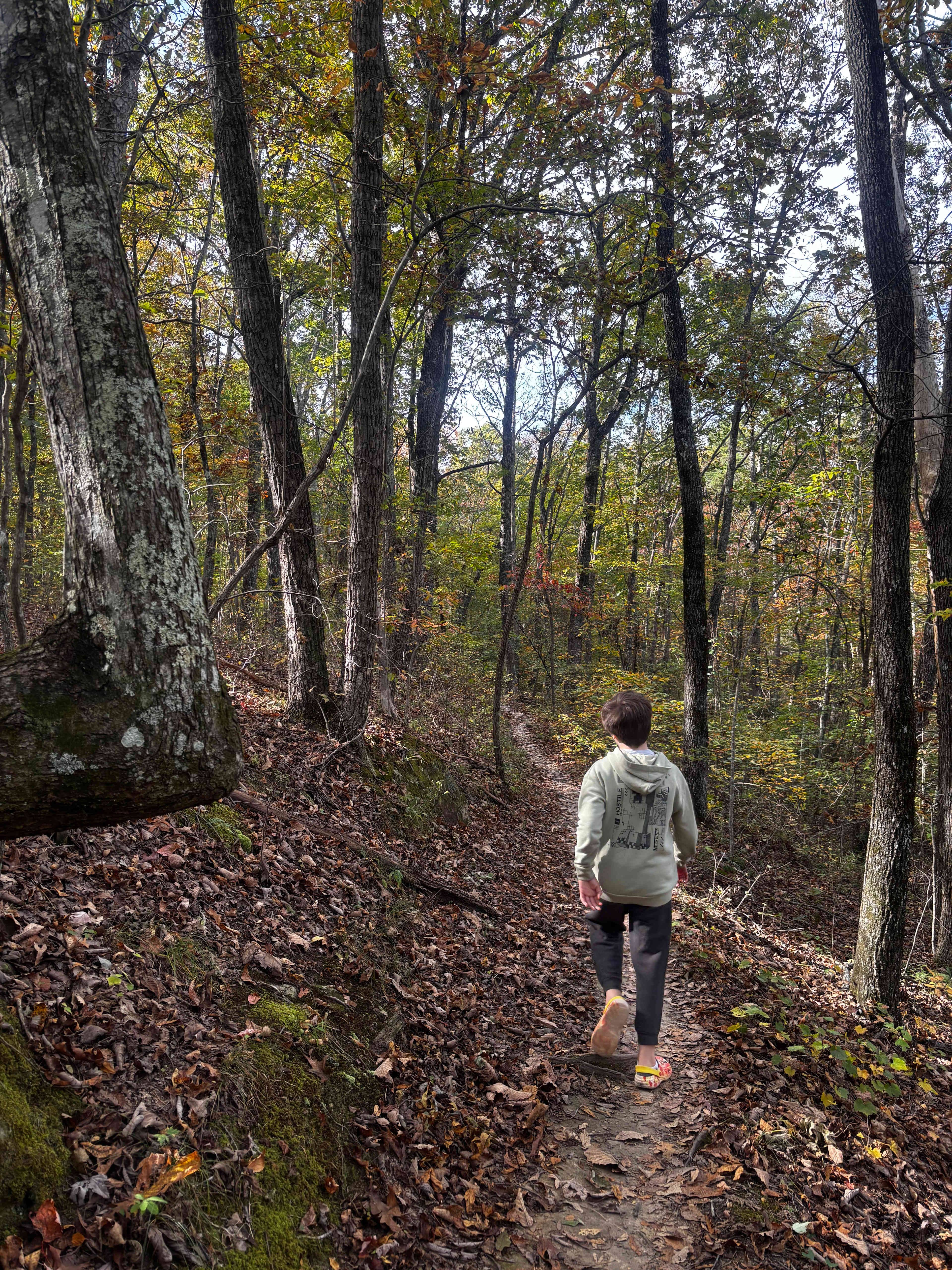 On a hiking trail not far from the site! It was the Chattanooga Connector Trail