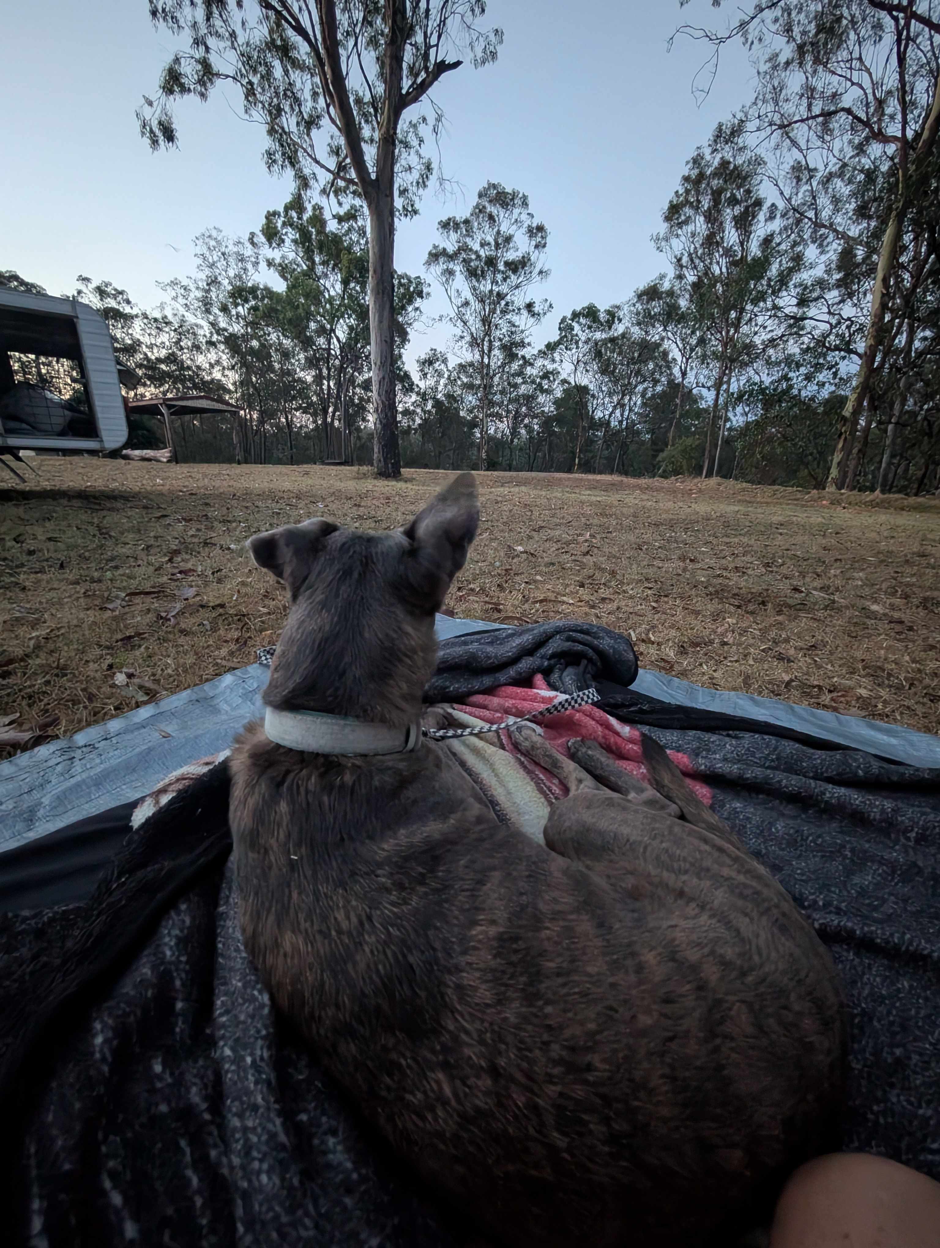 In the 2ndary field, 150m from the amenities. Space, shelter, communal fire pit, swings.