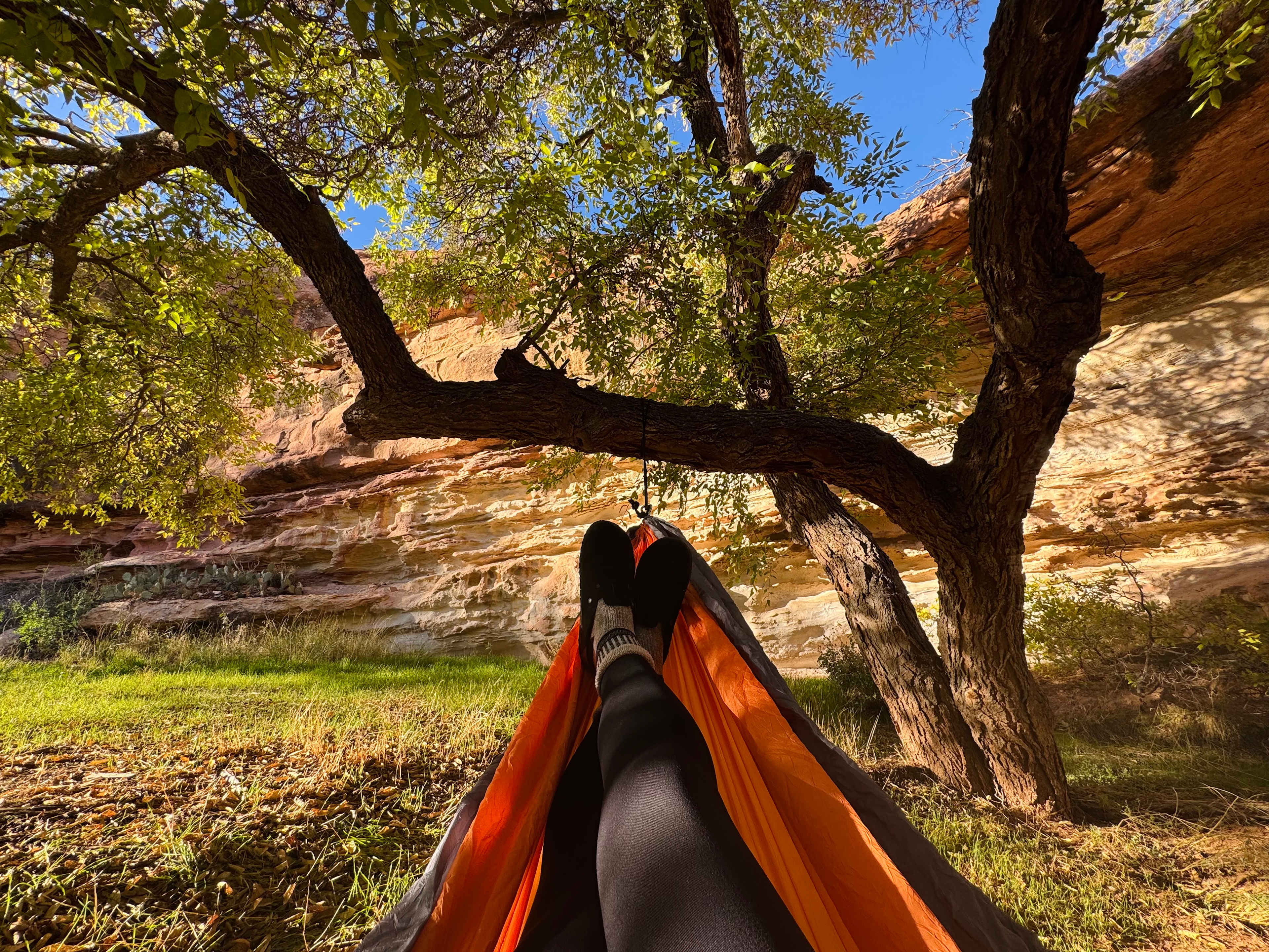 Anasazi Sites @ Ancient Echoes