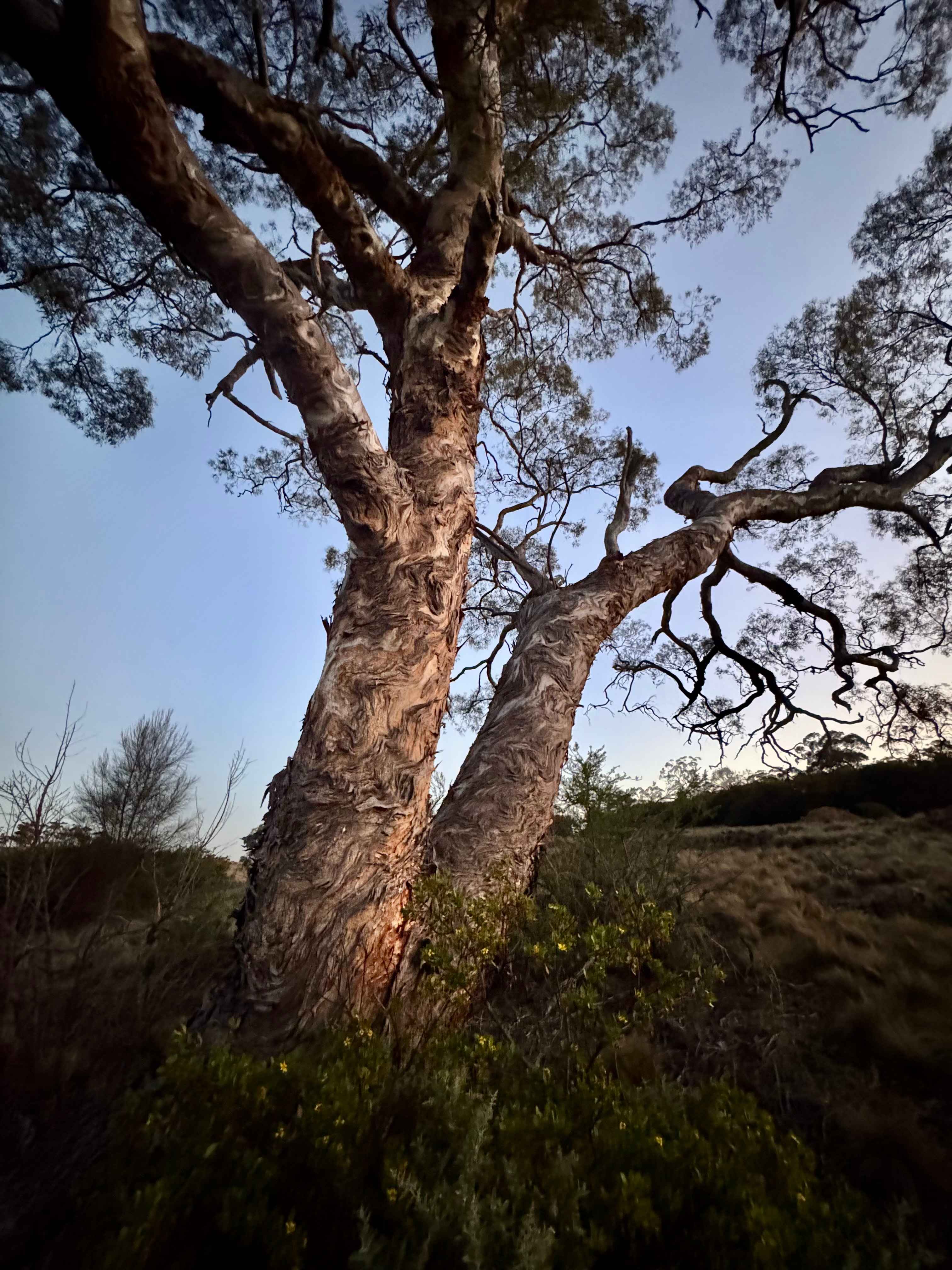Boulder Brook Valley