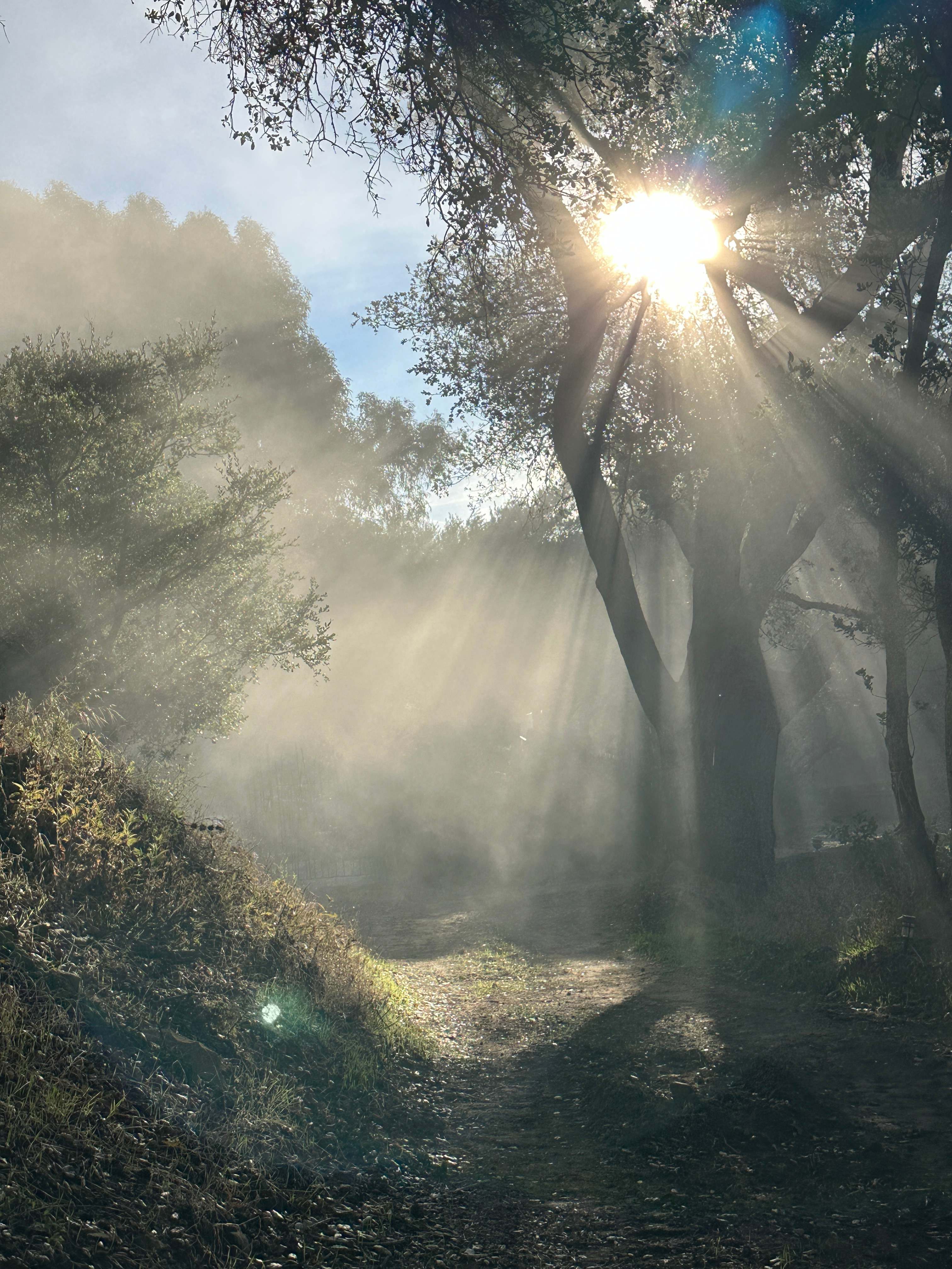 Gaia Farm Campground