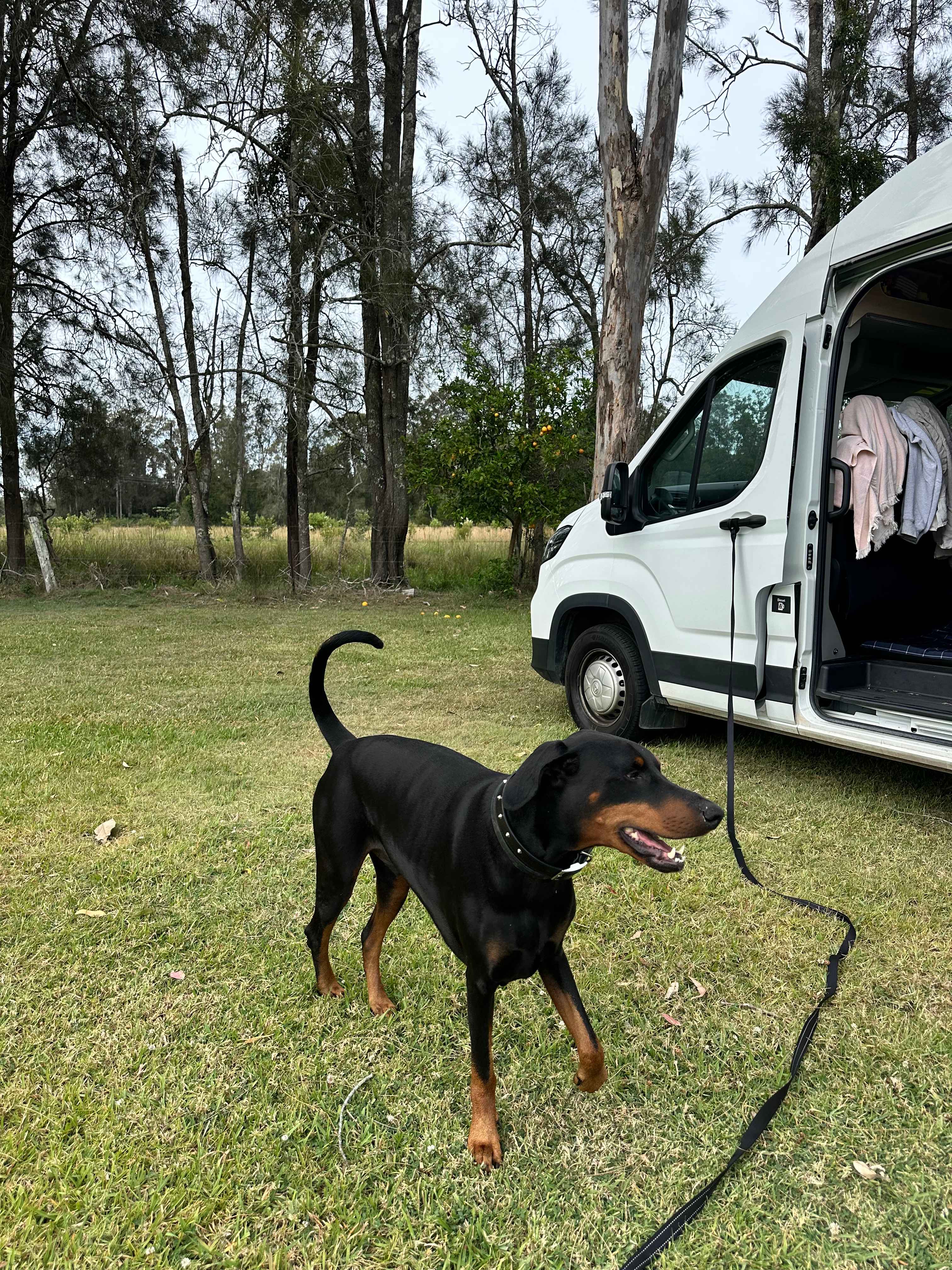 Fernbank Creek - Port Macquarie