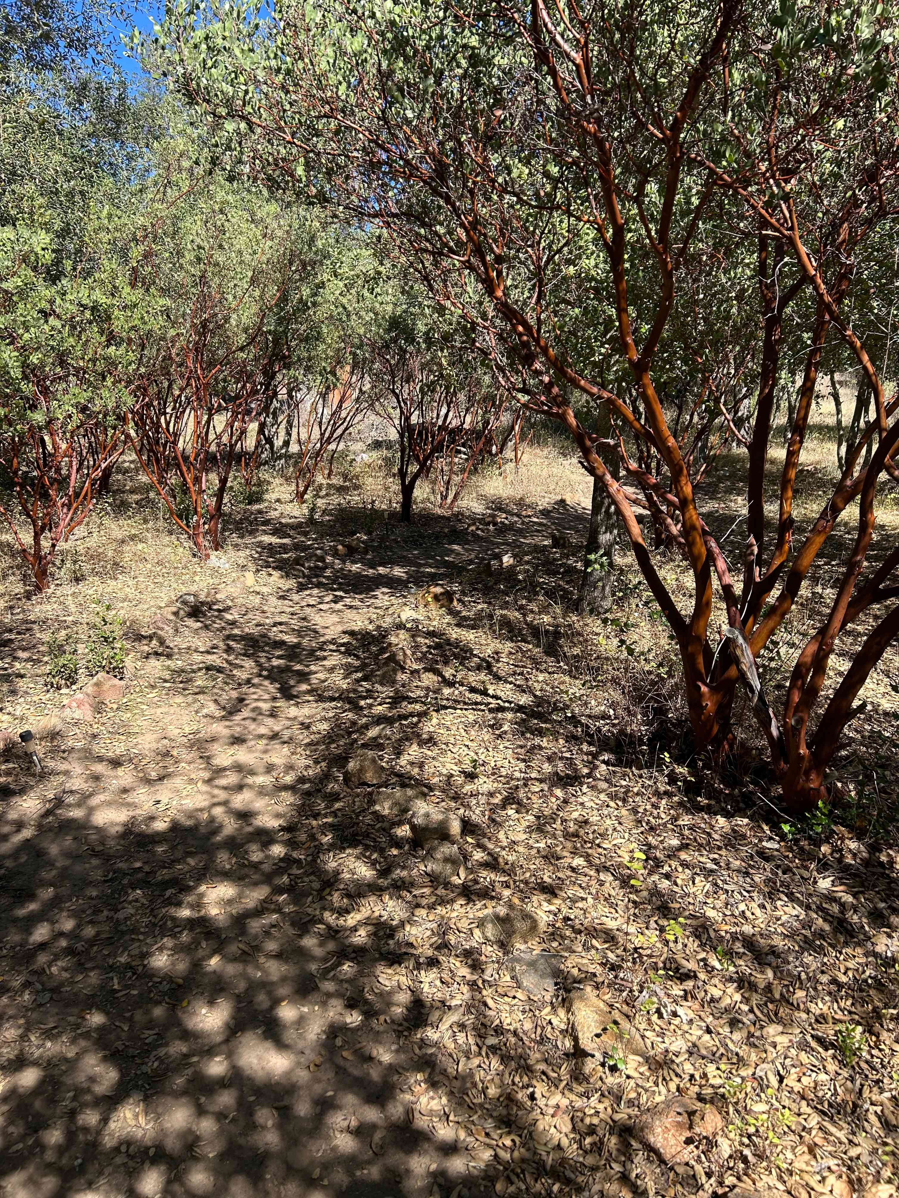 Svatantria Boutique Retreat