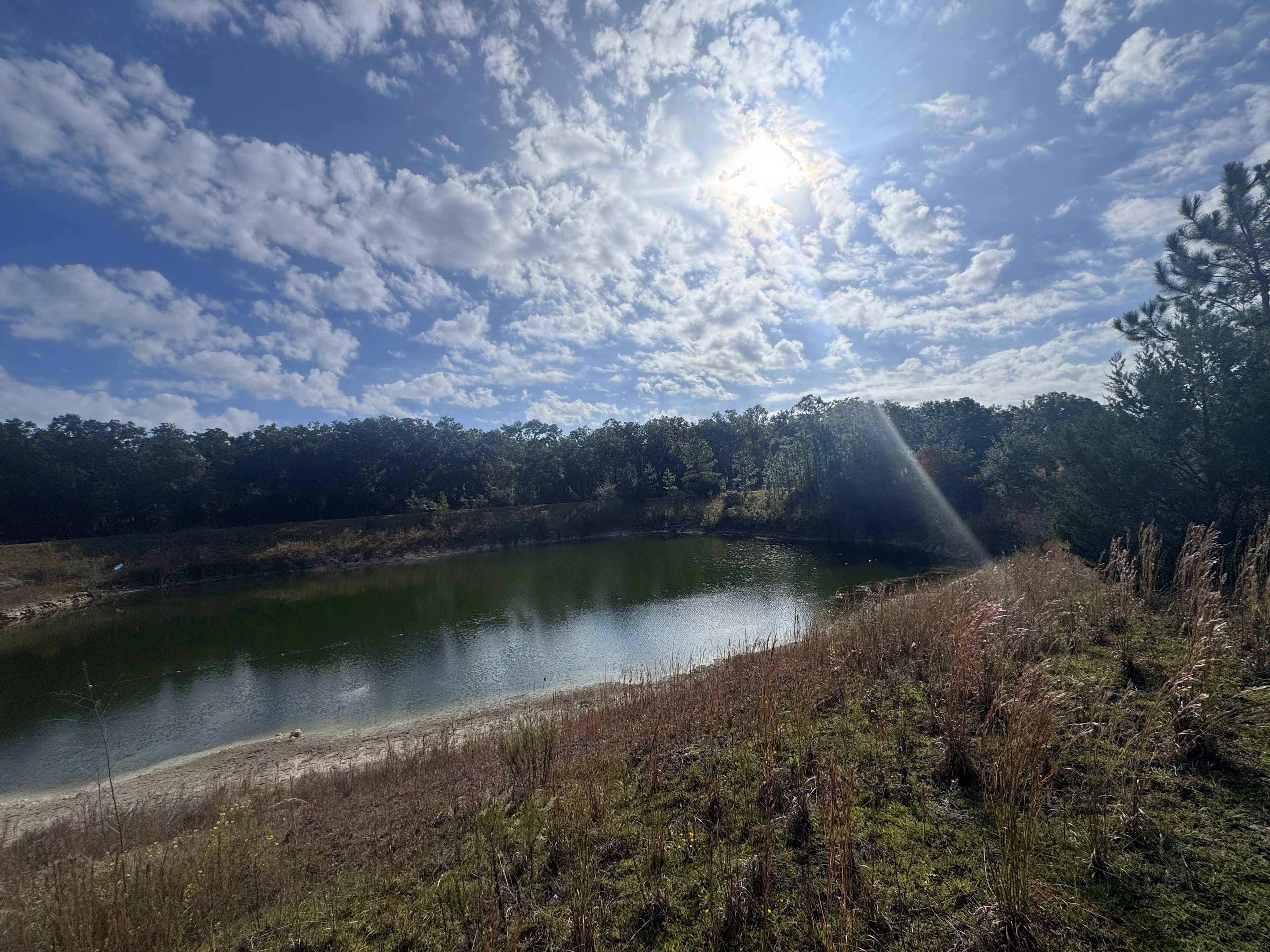 Caceres Organic Blueberry Farms