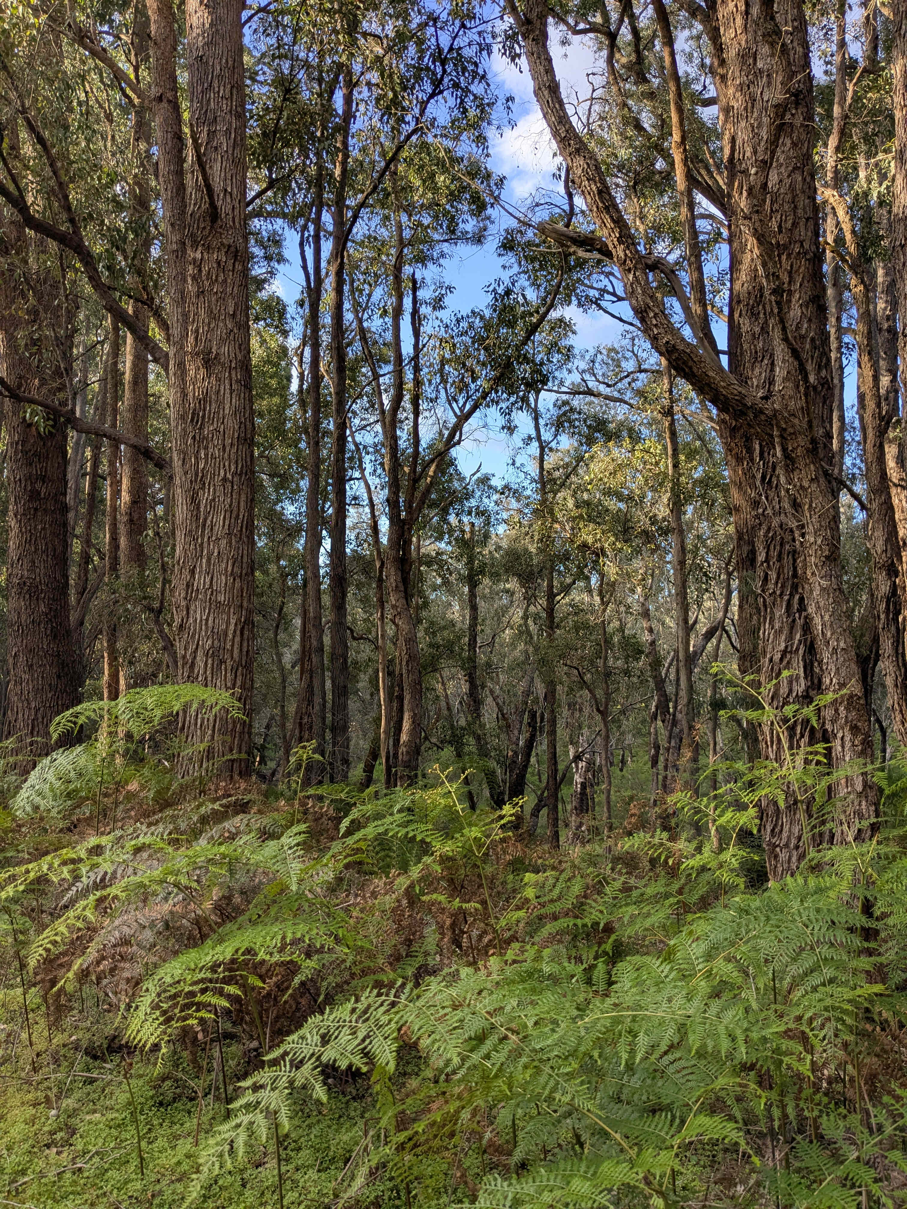 Nanga River Retreat, Dwellingup.