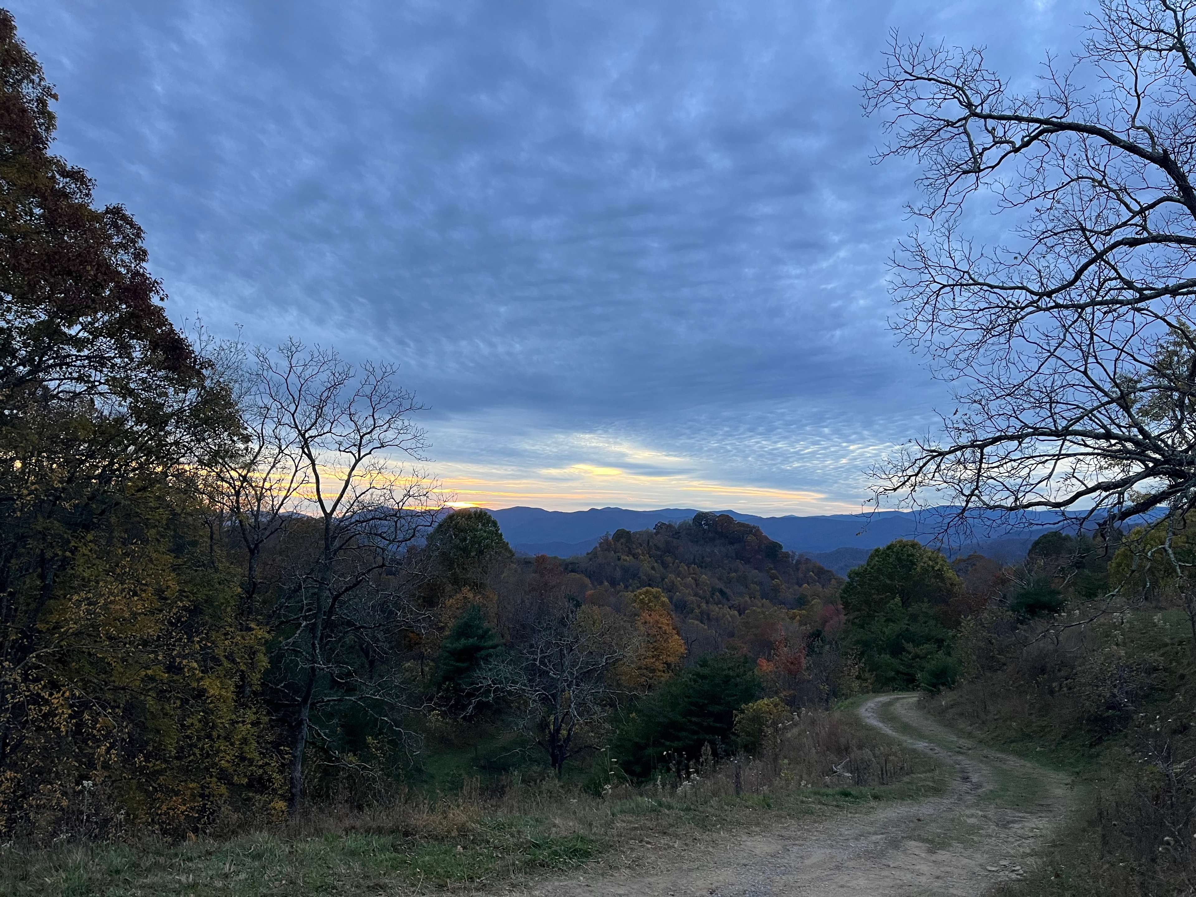 Pause || Eco-Retreat at Aramesh