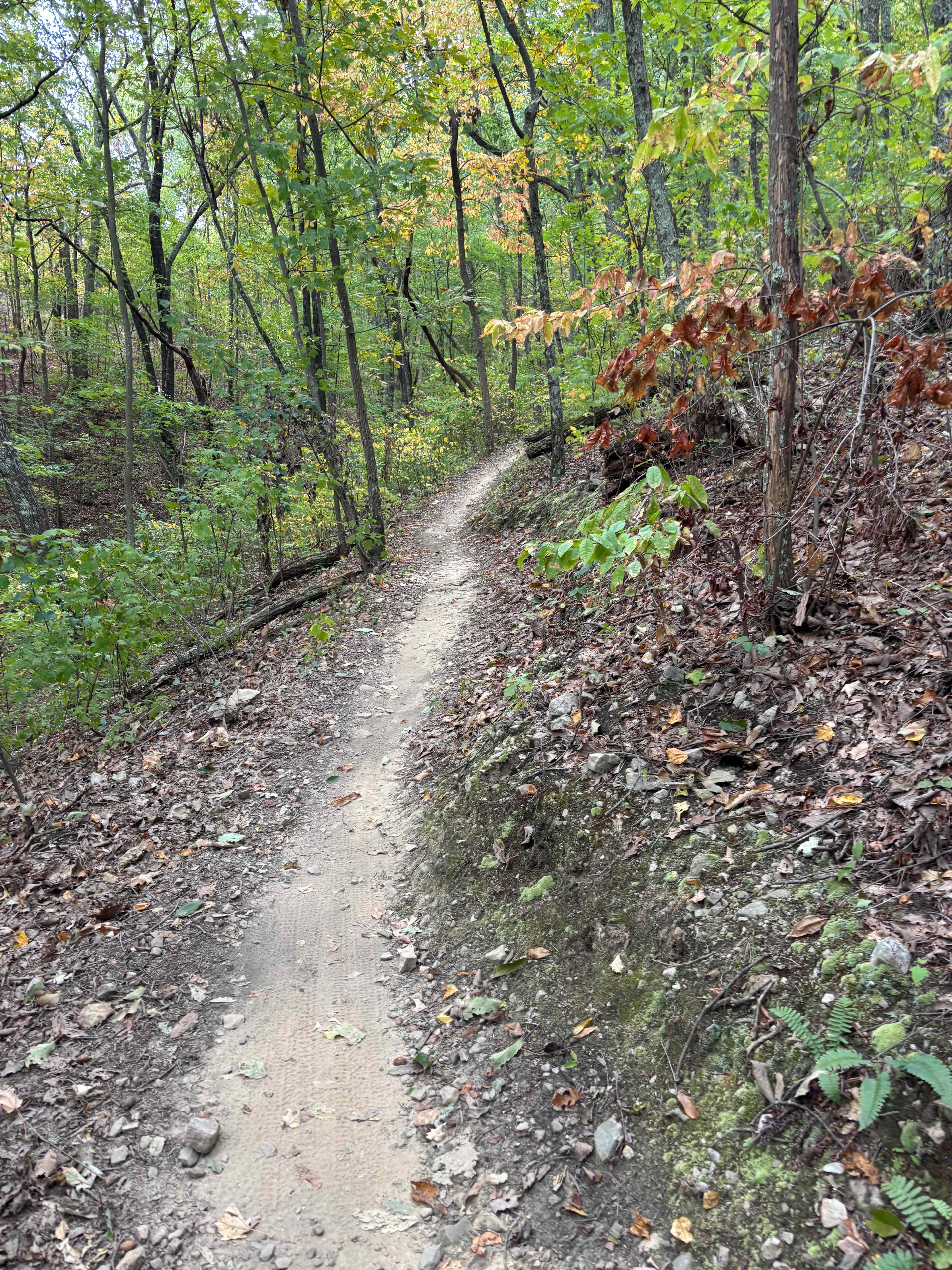 Coldwater Camp & Cabins