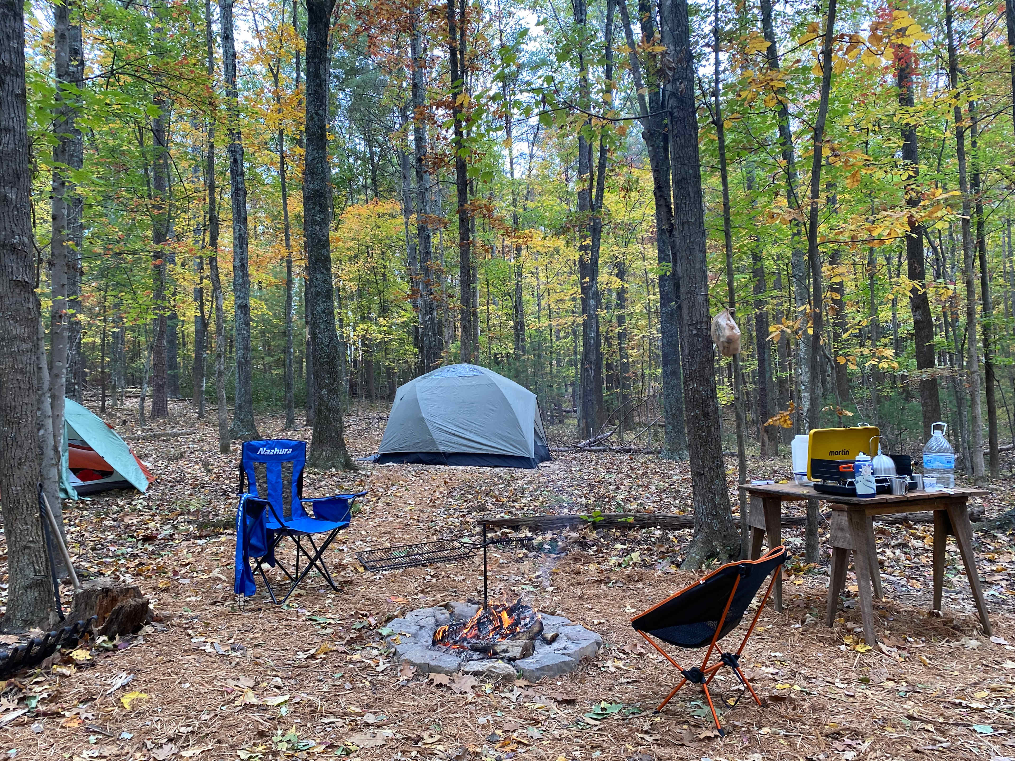 Magic at Galleywinter