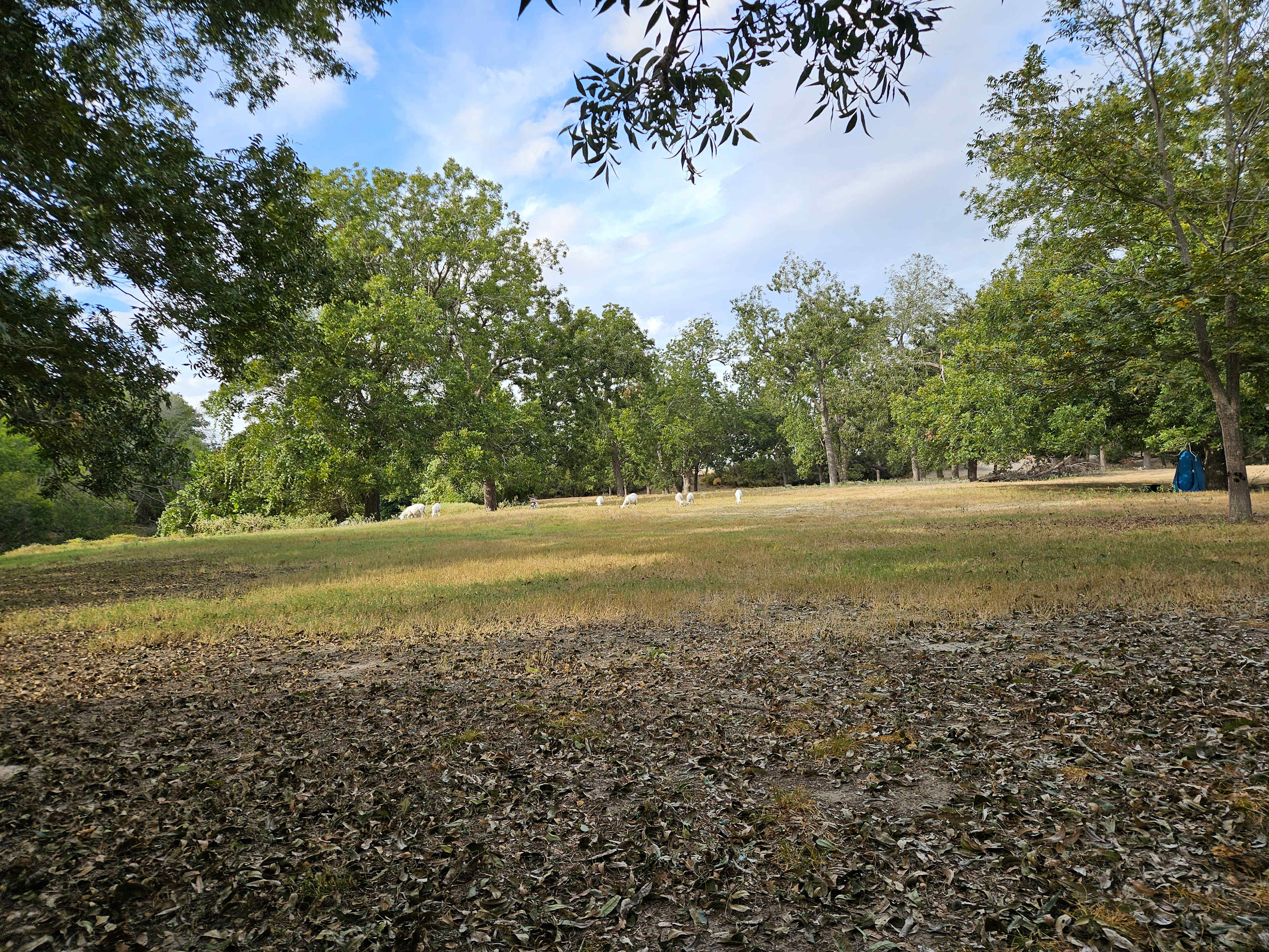 River Grove Campground