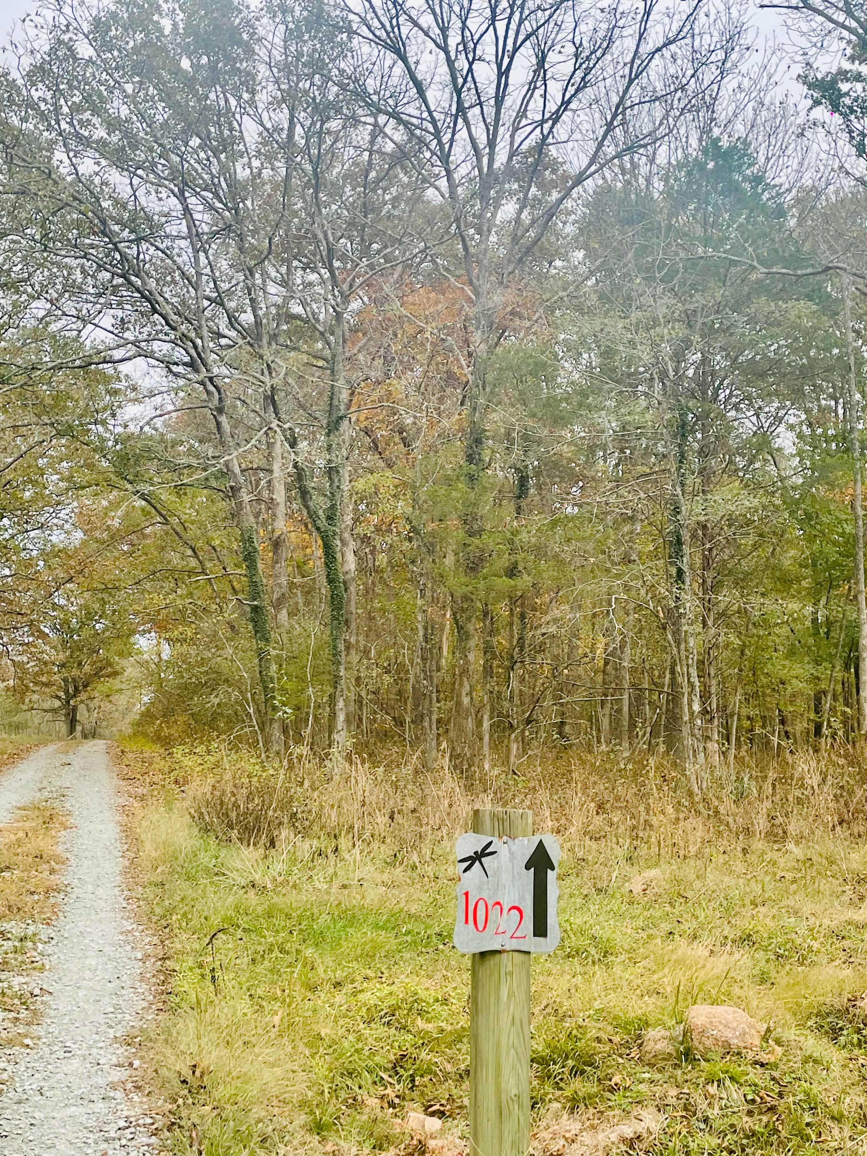 Missouri Tent & Camper Site