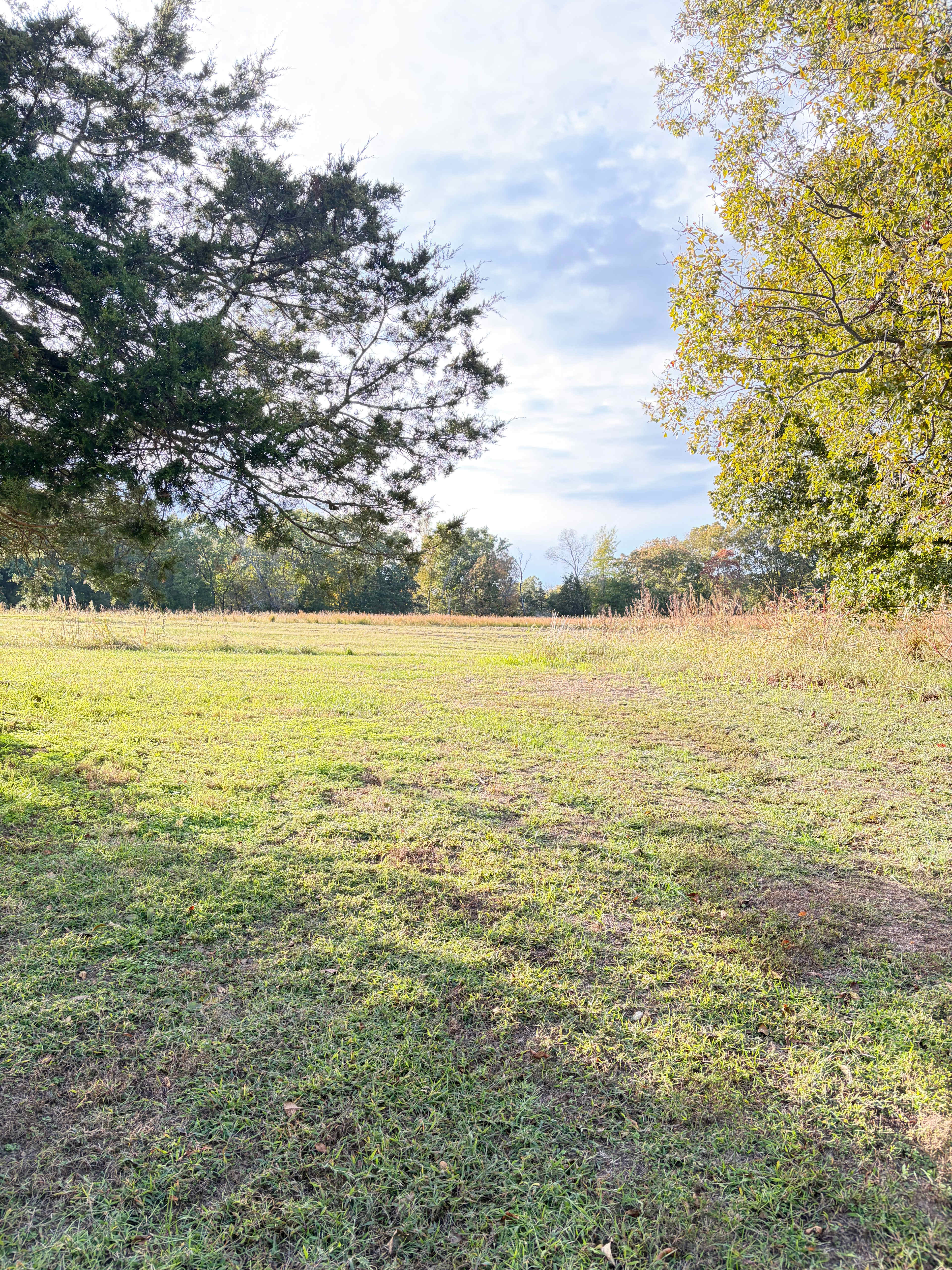 Fullerosa Horseback And Hunting