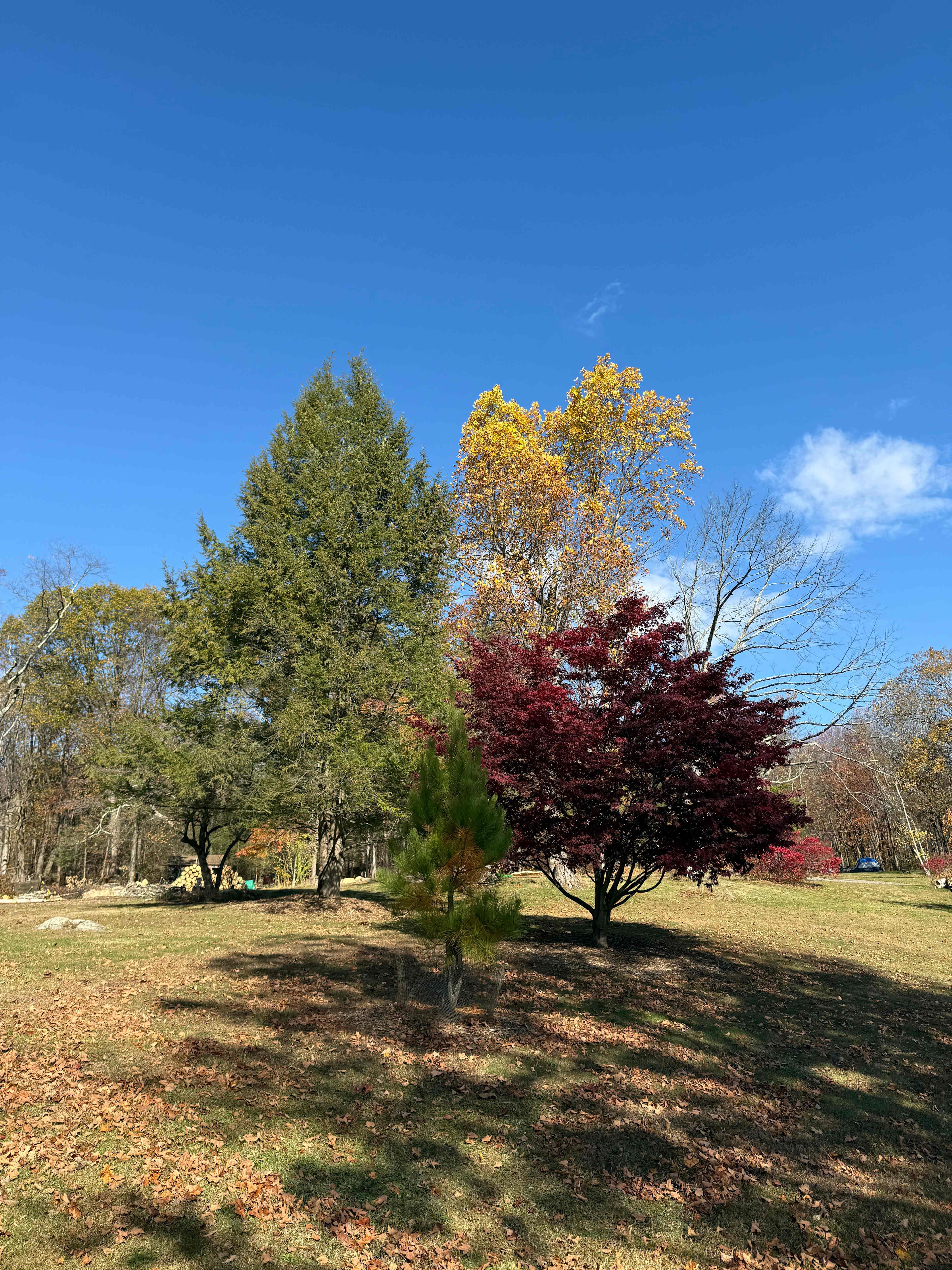Paradise Valley Homestead