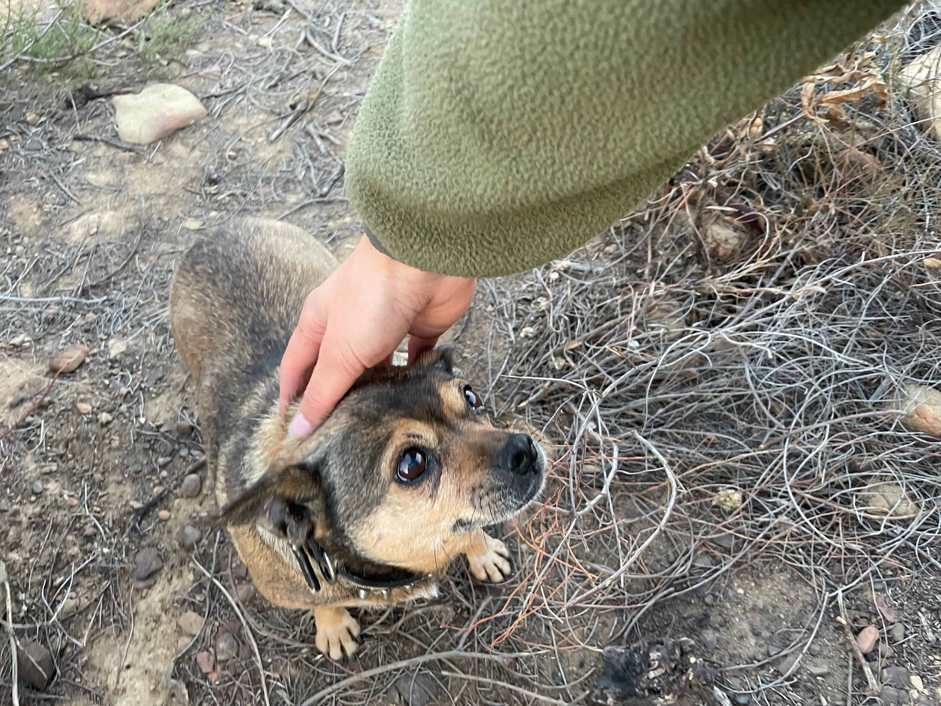 Gaia Farm Campground