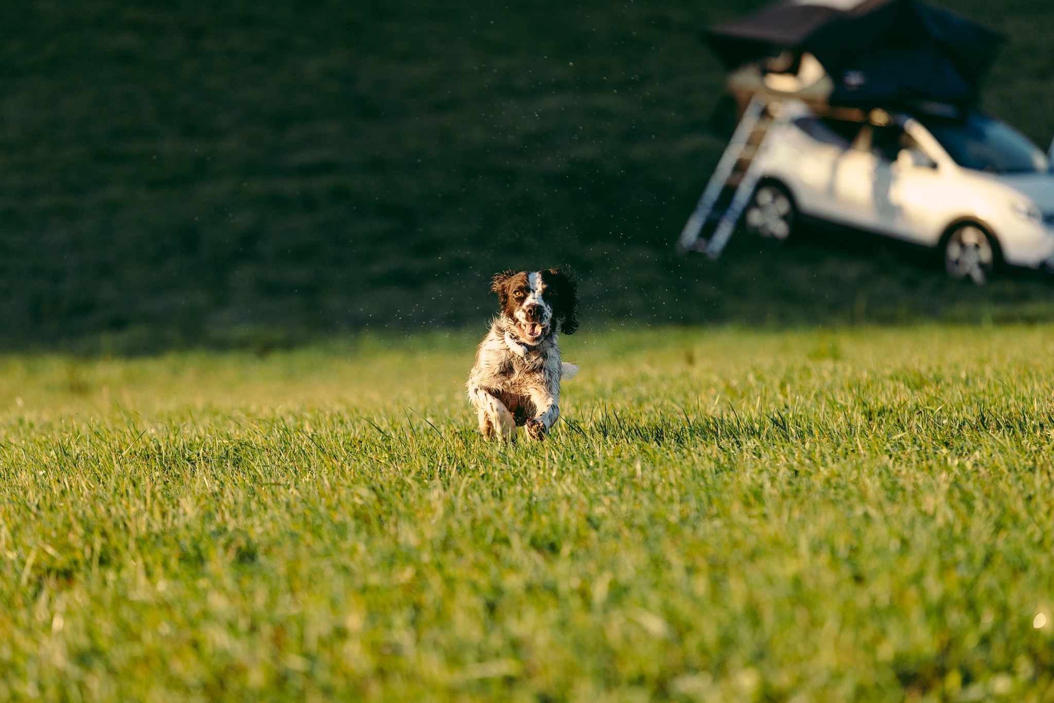 Wild Camping in the Cotswolds