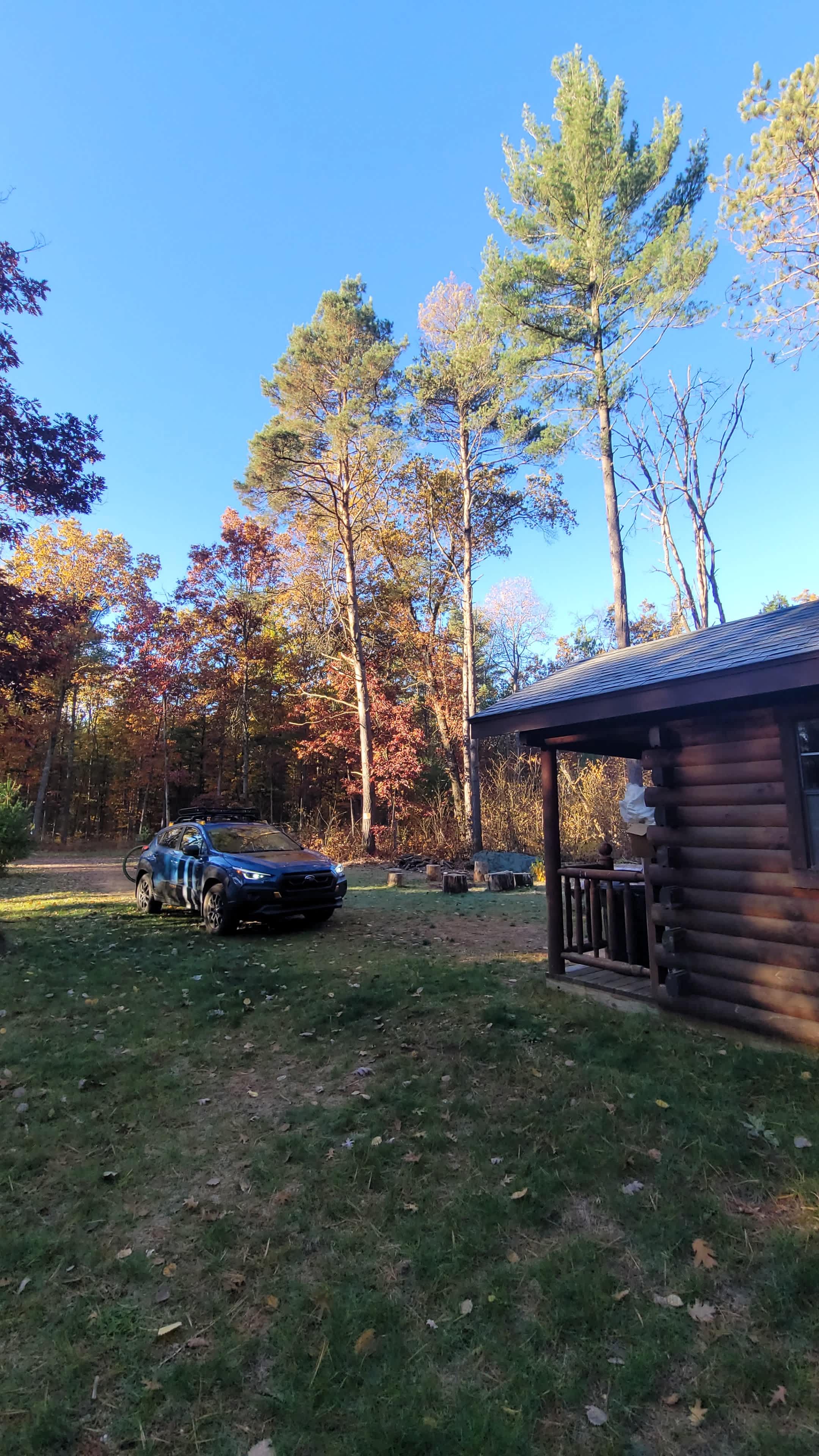 Billy’s Place in the Woods