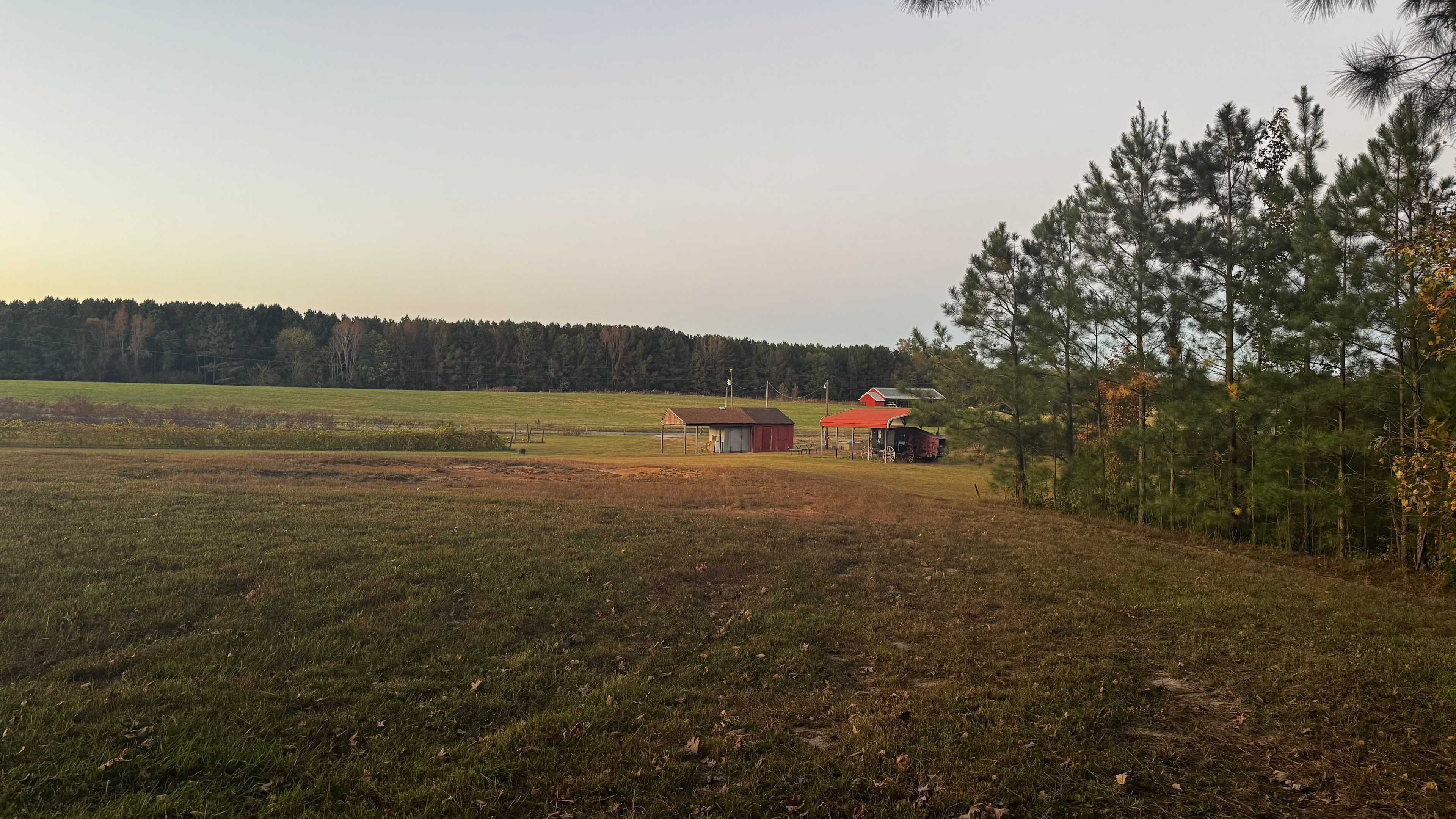 Drewry Blueberry Farm