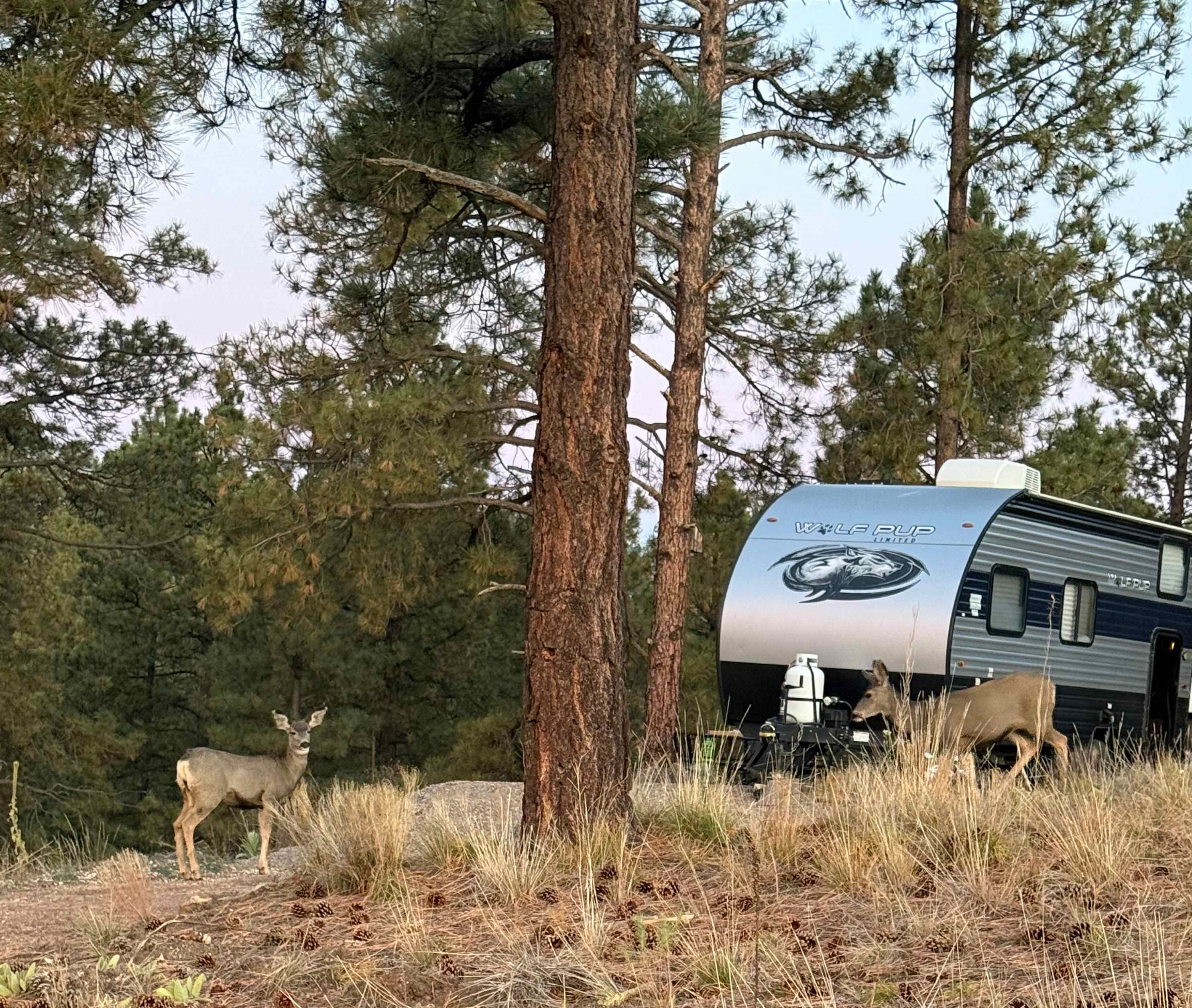 Mountain Pines Valley View