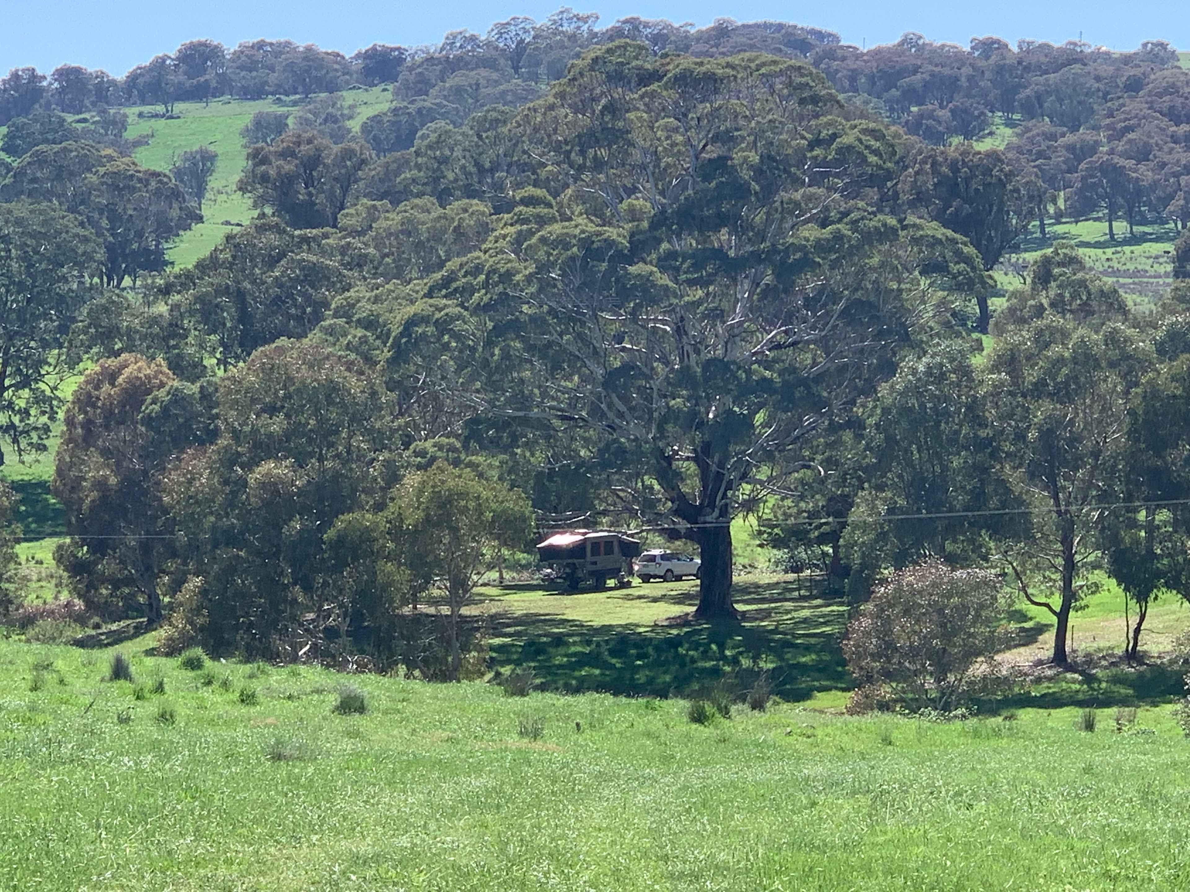 Dairy Park Farm Stay